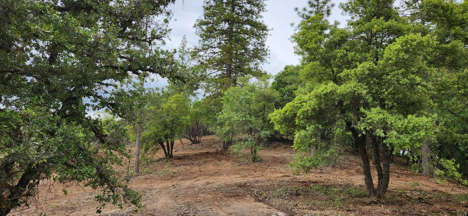 18148 Greenhorn Road Grass Valley, CA 95945 - Photo 2 of 11 a view of a forest