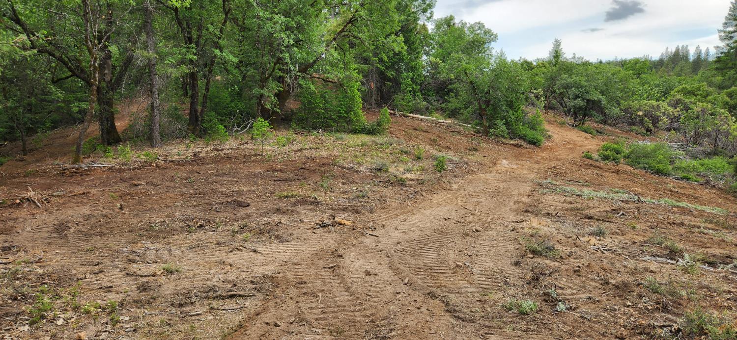 18148 Greenhorn Road Grass Valley, CA 95945 - Photo 8 of 11 a view of a forest with trees in the background
