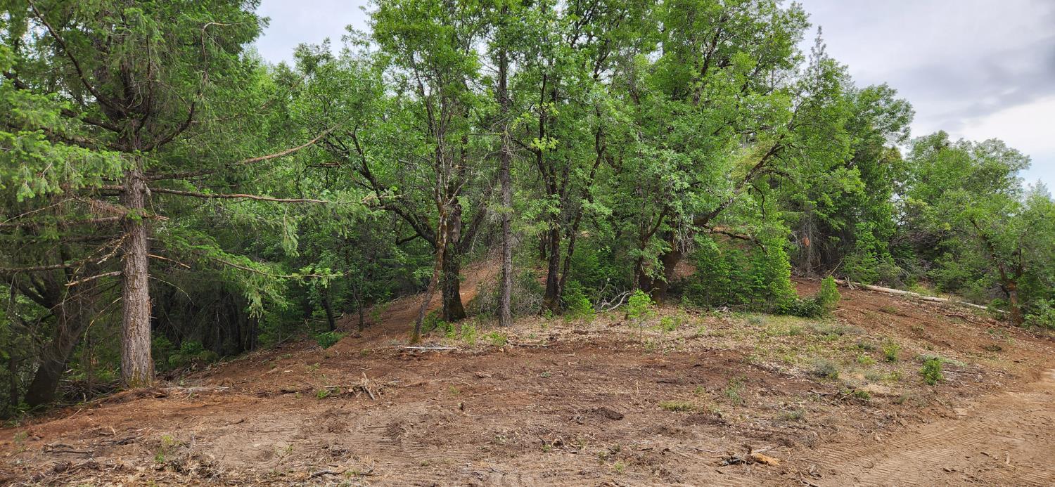 18148 Greenhorn Road Grass Valley, CA 95945 - Photo 9 of 11 a view of outdoor space and trees