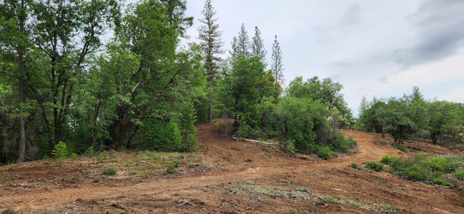 18148 Greenhorn Road Grass Valley, CA 95945 - Photo 10 of 11 a view of a forest with trees in the background