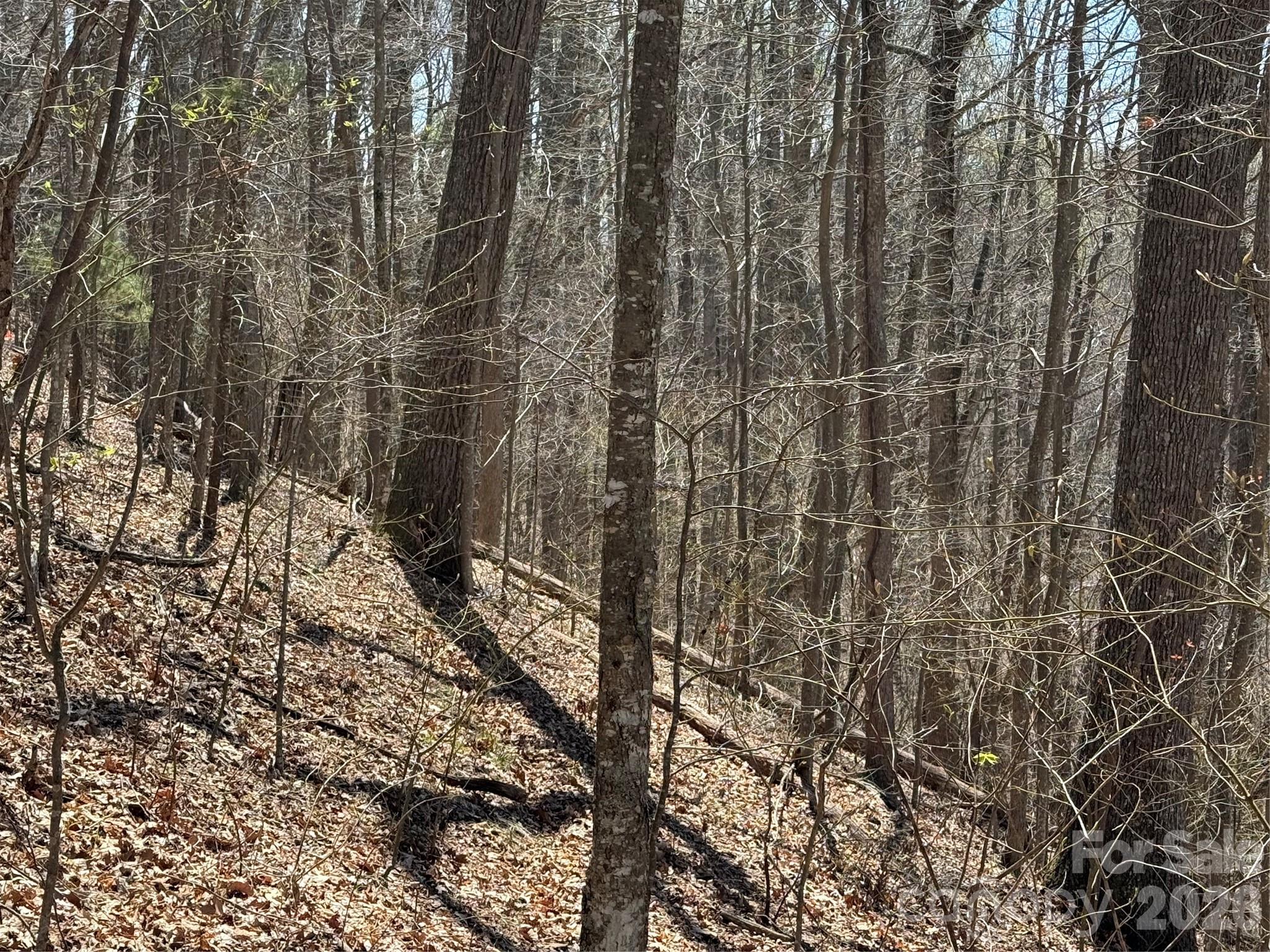 0 Granny Shepherd Road, Unit LOT 2 Mars Hill, NC 28754 - Photo 8 of 22