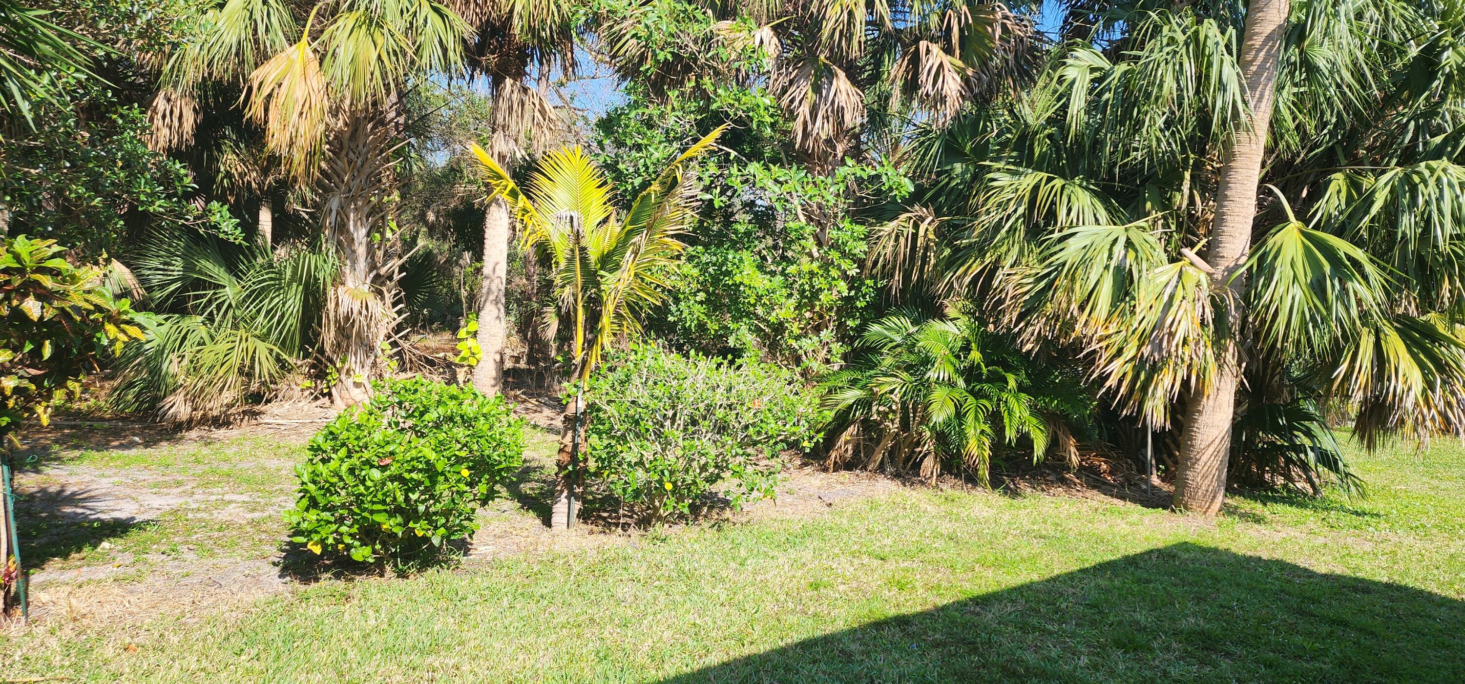 602 Weldwood Road Jupiter, FL 33458 - Photo 4 of 18 Back yard Preserve