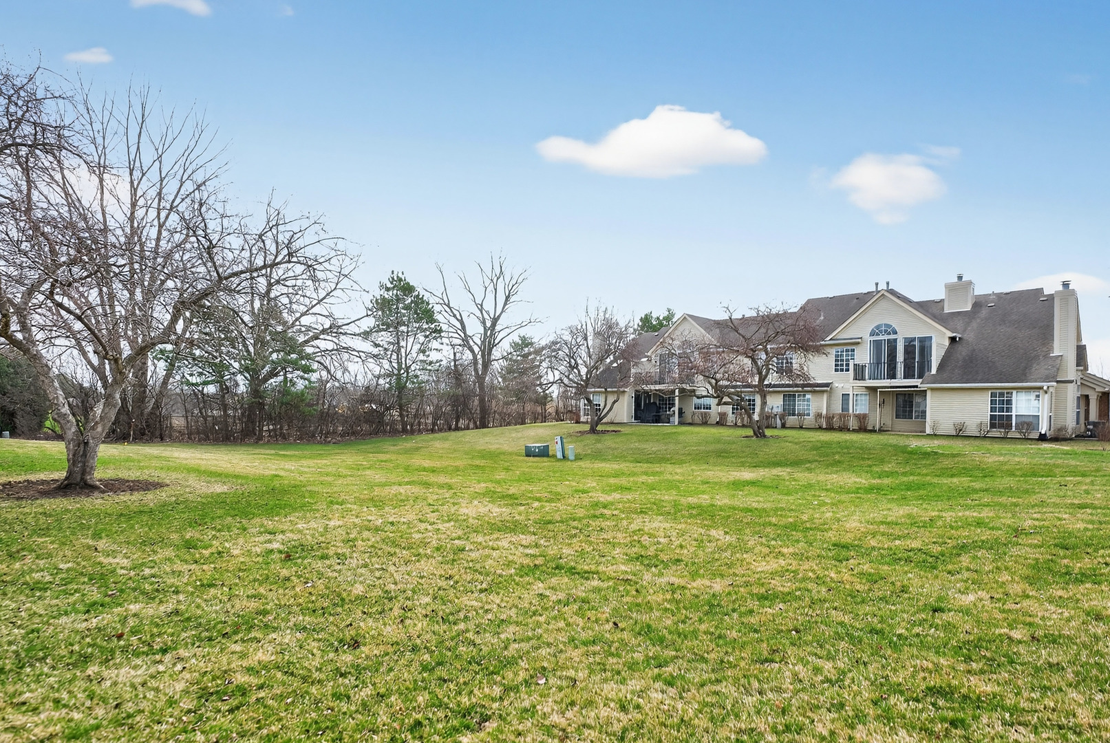 446 Cromwell Circle, Unit 4 Bartlett, IL 60103 - Photo 16 of 18 a front view of house with yard and trees