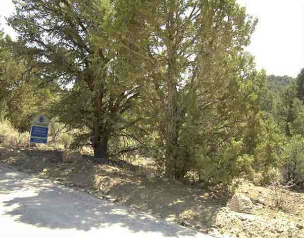 2070 Empire Road Reno, NV 89521 - Photo 1 of 1 a view of a outdoor space