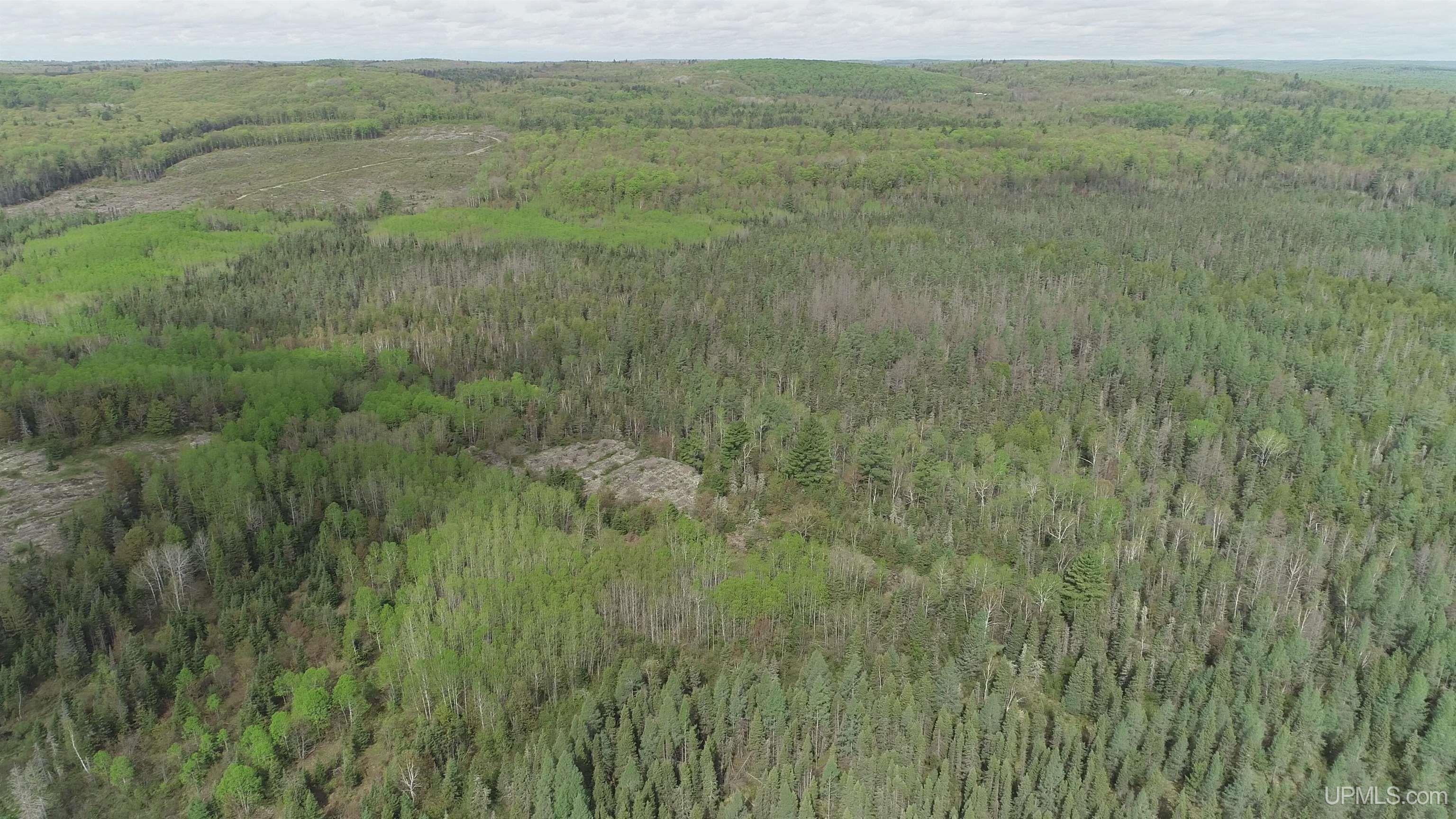 280-acres County Road CCN Road Negaunee, MI 49866 - Photo 31 of 48