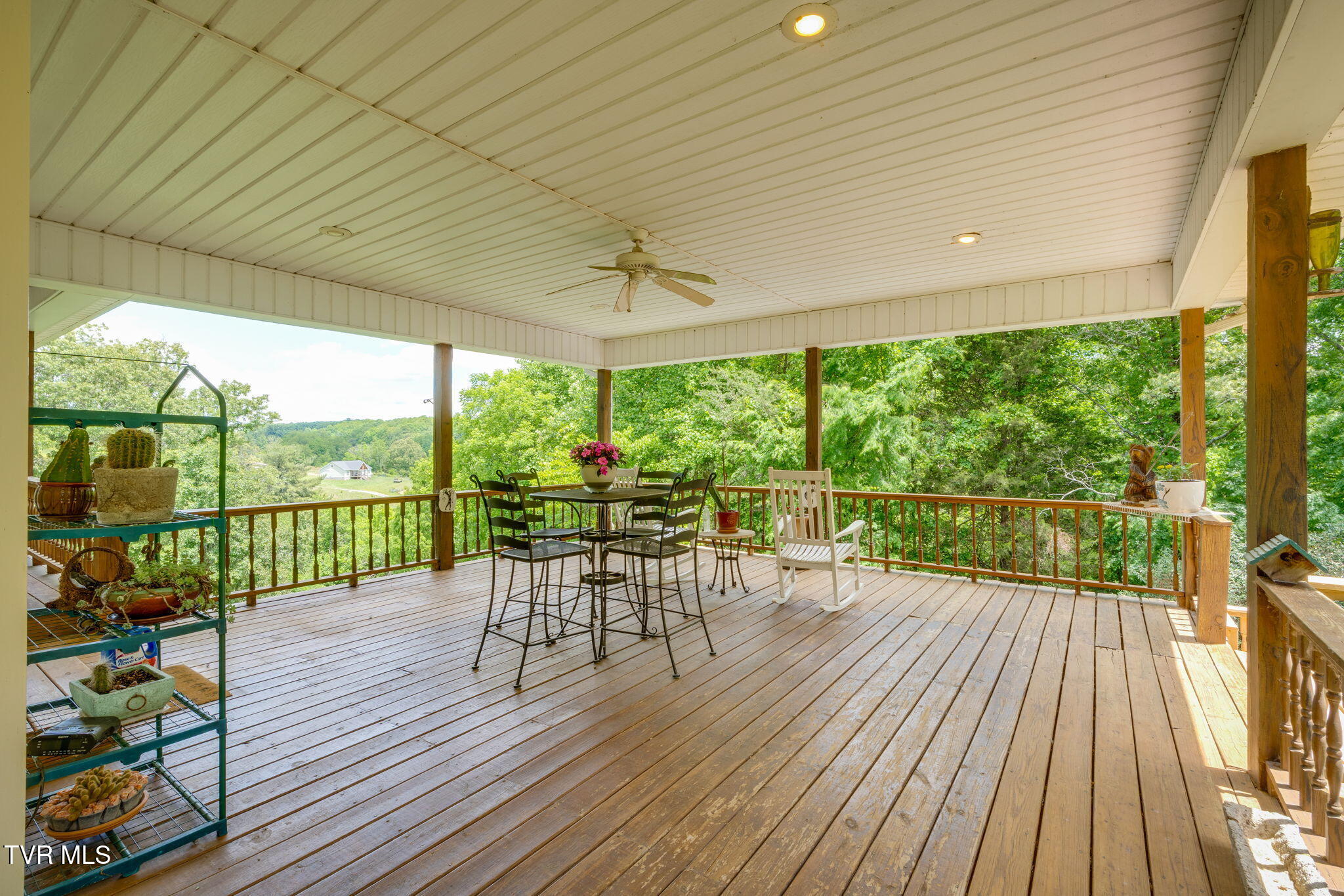 490 Cockatiel Road Limestone, TN 37681 - Photo 49 of 85 041