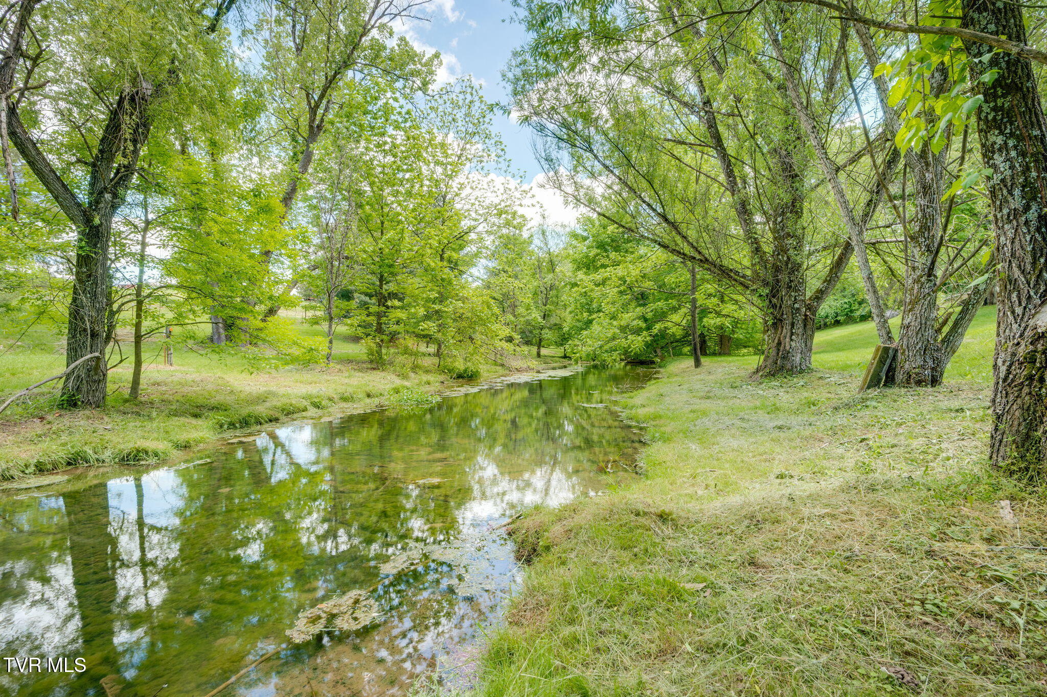 490 Cockatiel Road Limestone, TN 37681 - Photo 56 of 85 060