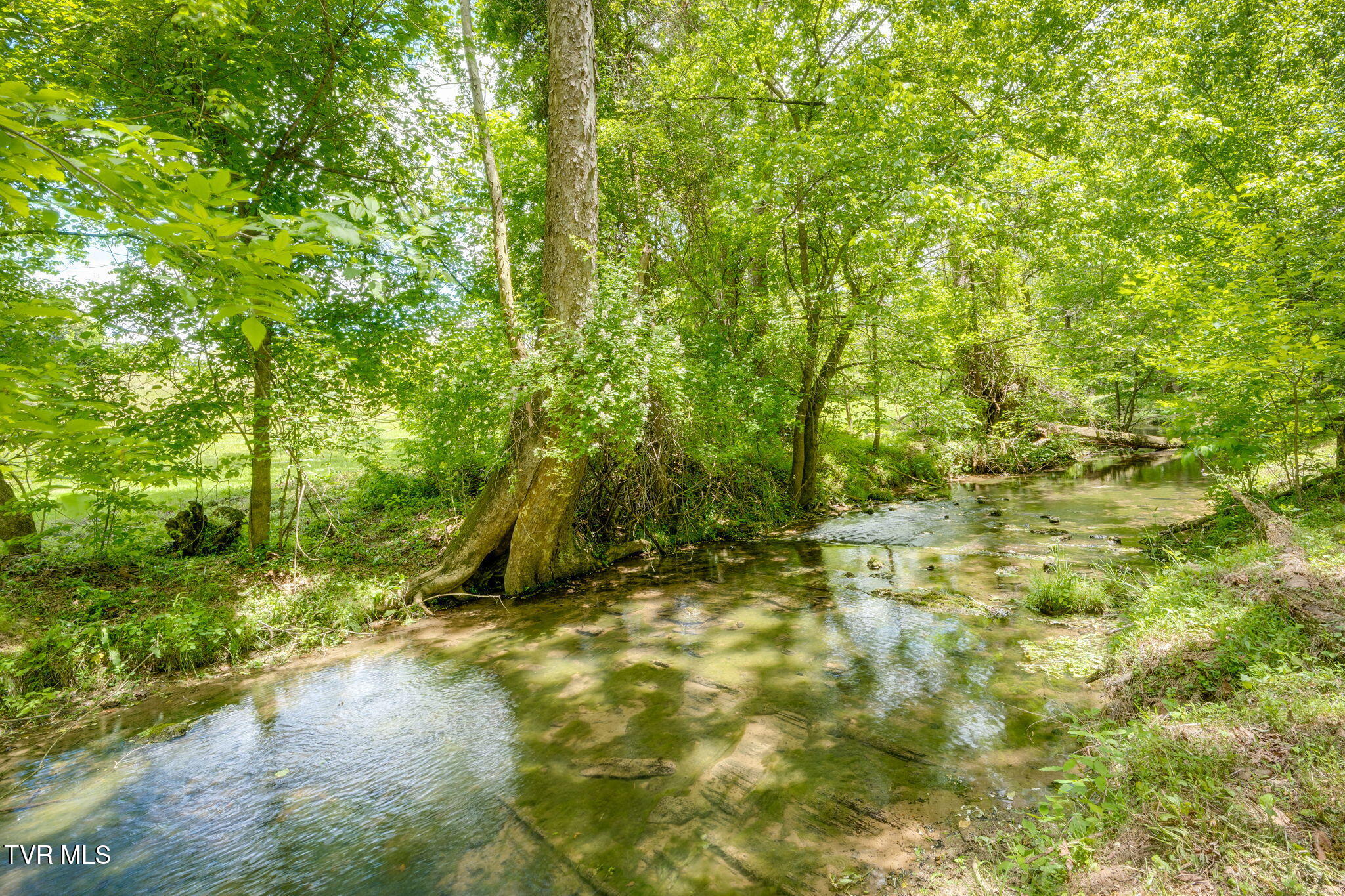 490 Cockatiel Road Limestone, TN 37681 - Photo 58 of 85 053