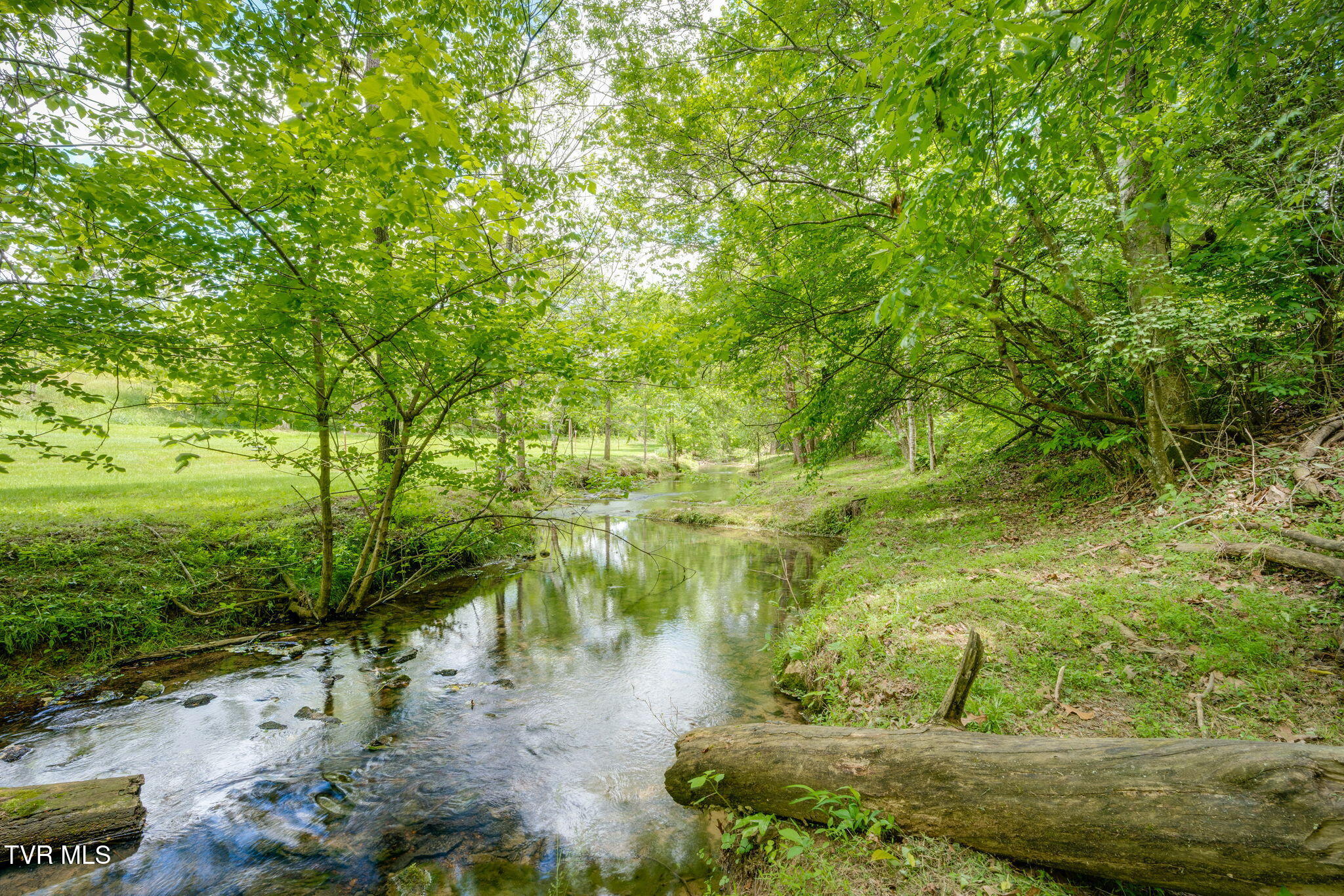 490 Cockatiel Road Limestone, TN 37681 - Photo 60 of 85 054