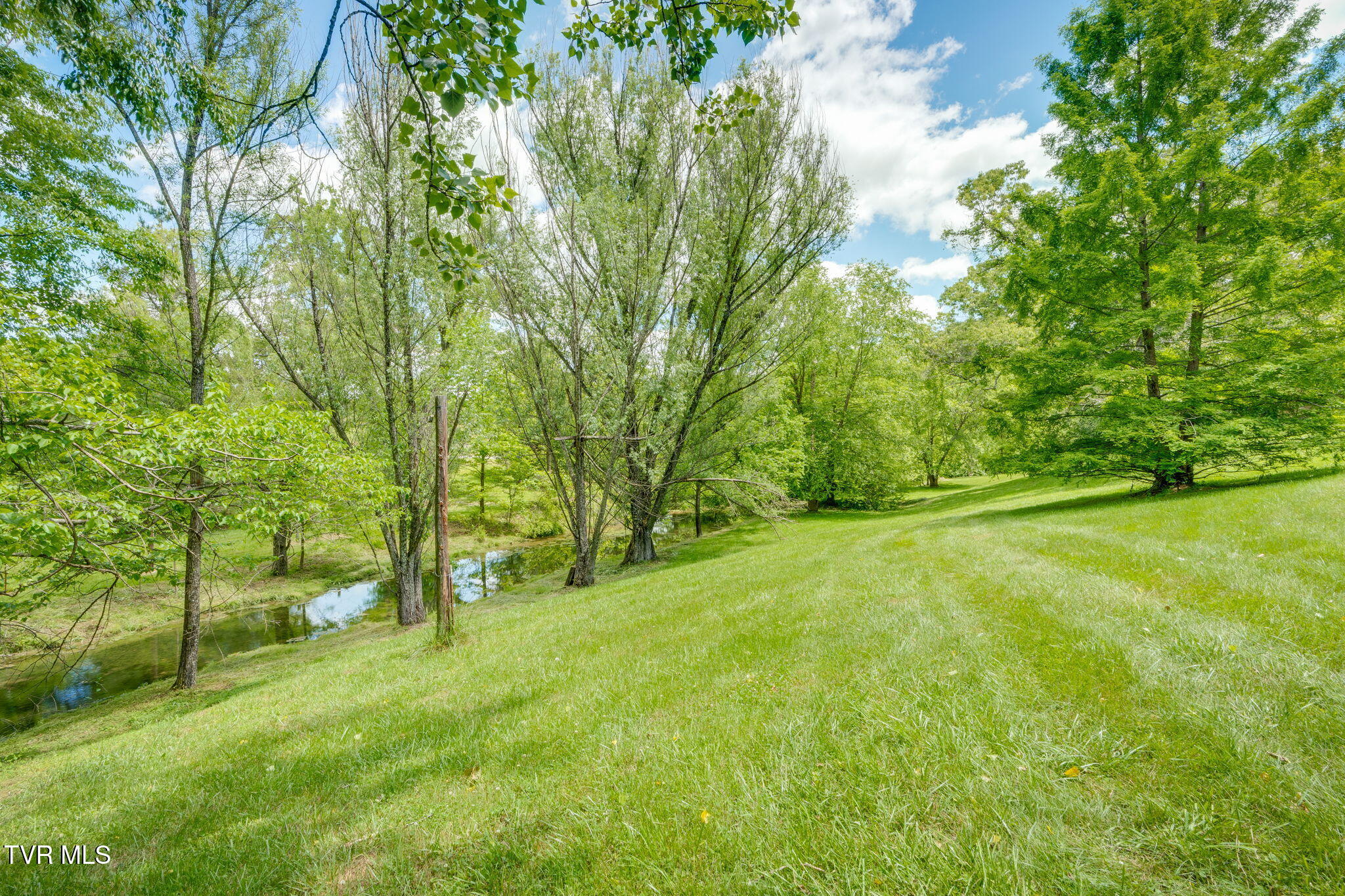 490 Cockatiel Road Limestone, TN 37681 - Photo 61 of 85 055