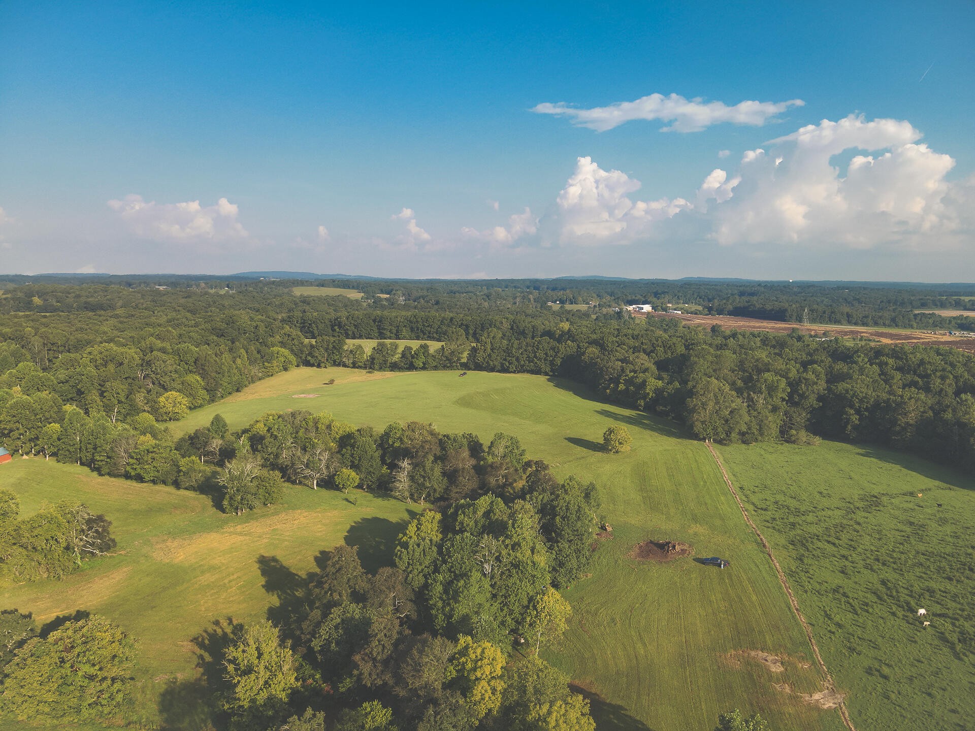 1784 Ogden Road Dayton, TN 37321 - Photo 1 of 62