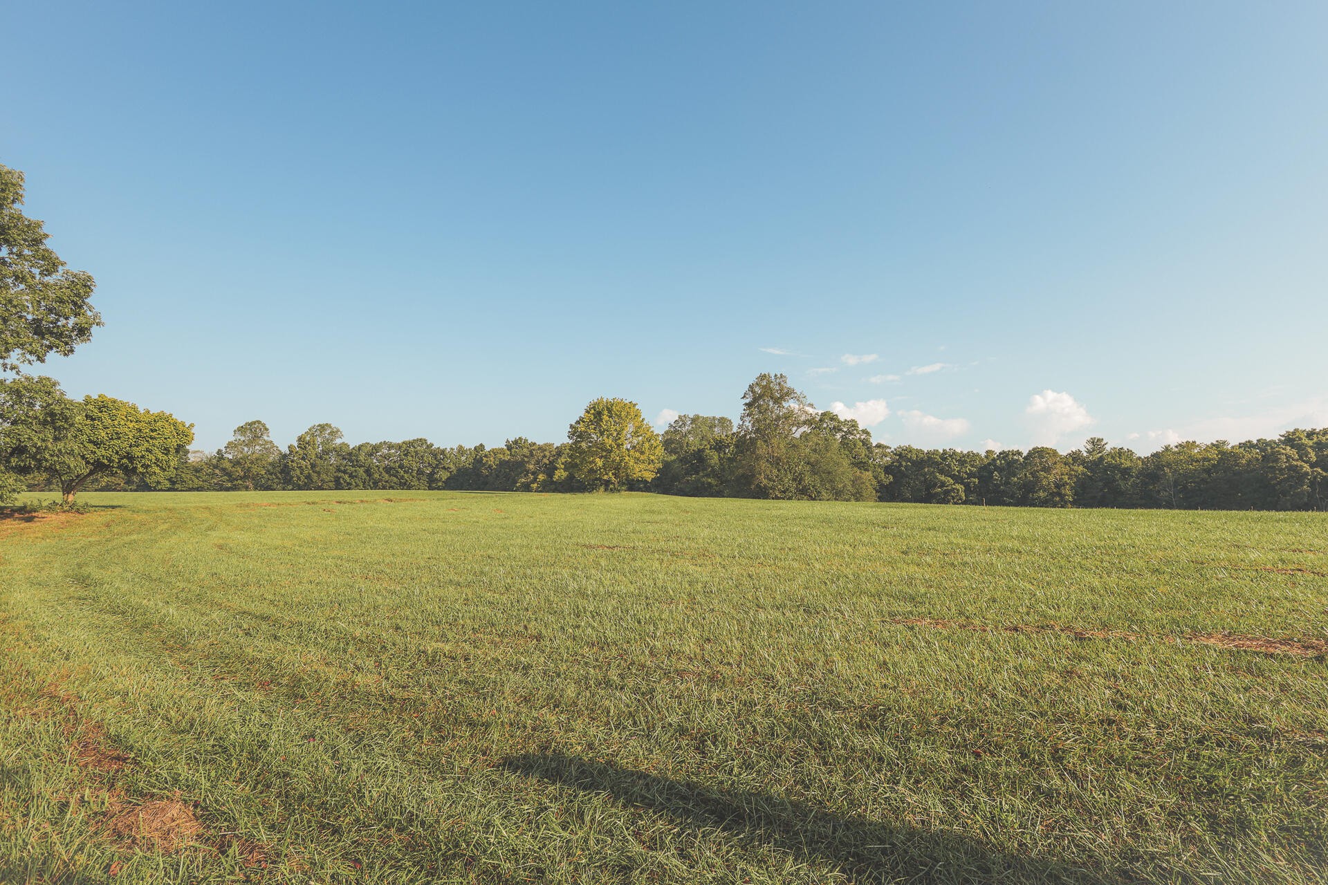 1784 Ogden Road Dayton, TN 37321 - Photo 11 of 62