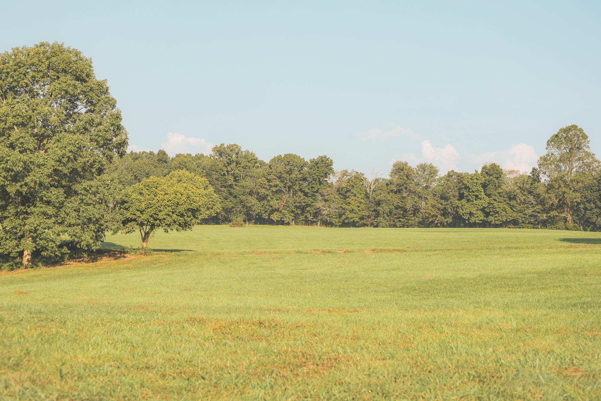 1784 Ogden Road Dayton, TN 37321 - Photo 12 of 62