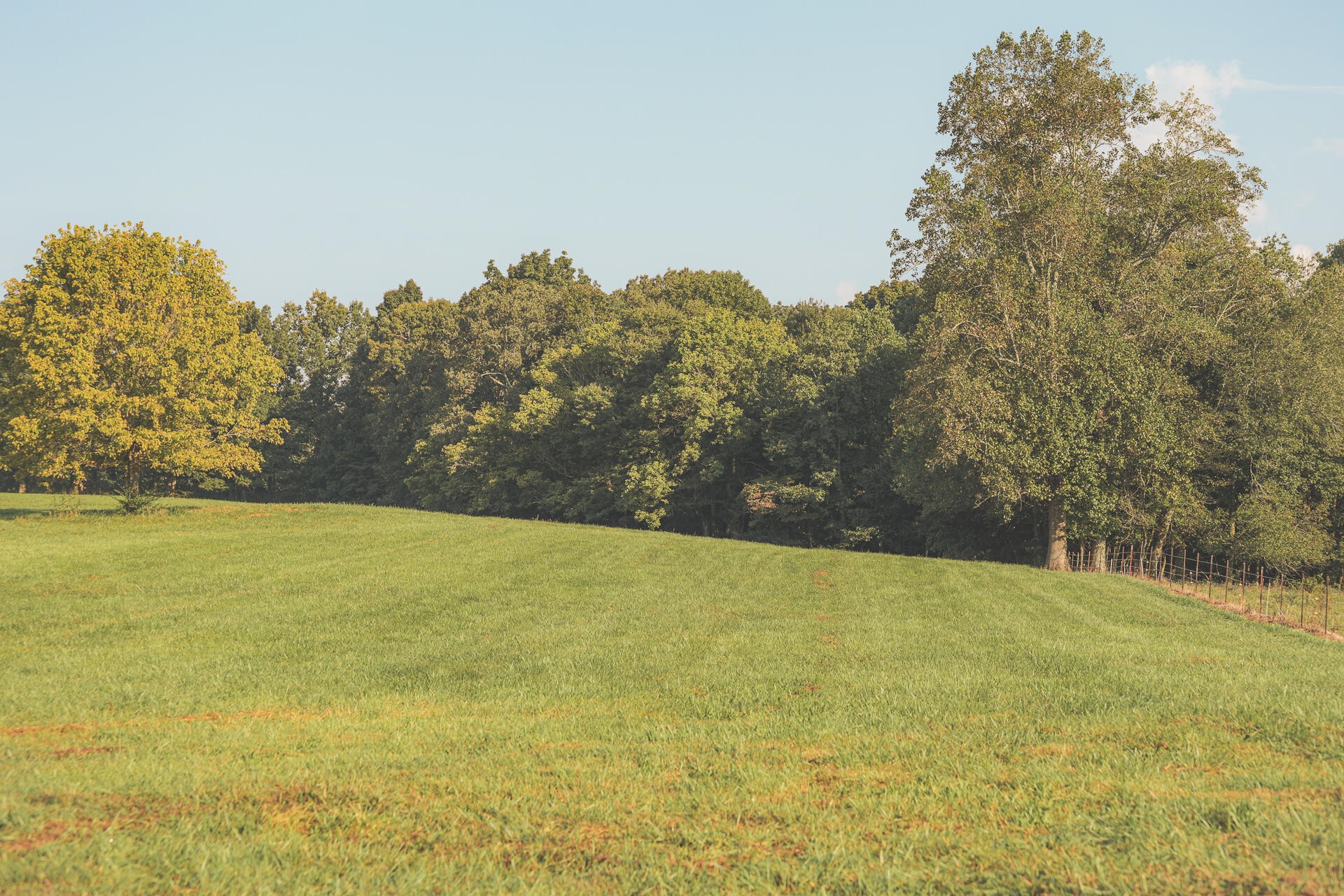 1784 Ogden Road Dayton, TN 37321 - Photo 14 of 62