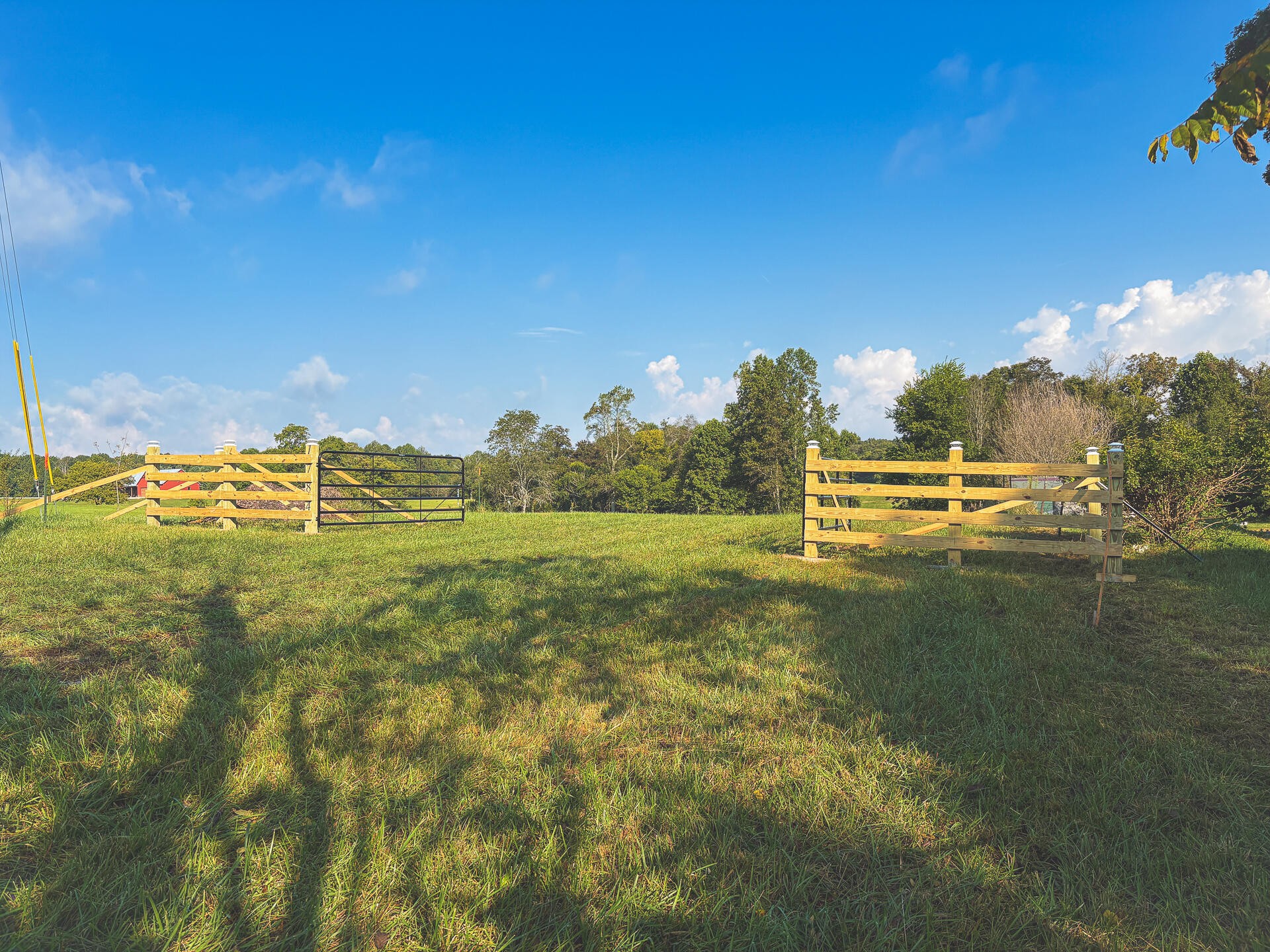 1784 Ogden Road Dayton, TN 37321 - Photo 21 of 62