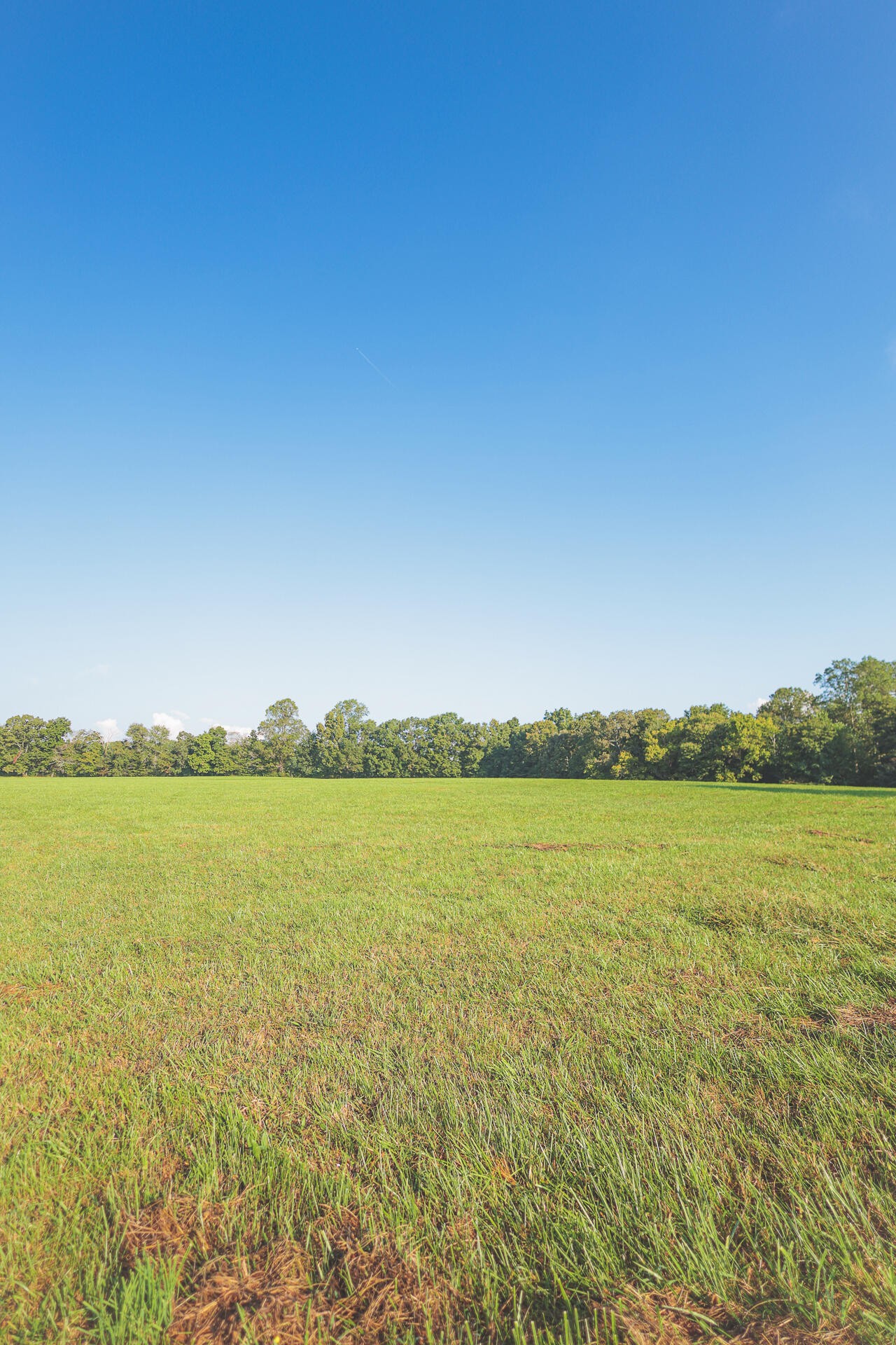 1784 Ogden Road Dayton, TN 37321 - Photo 22 of 62