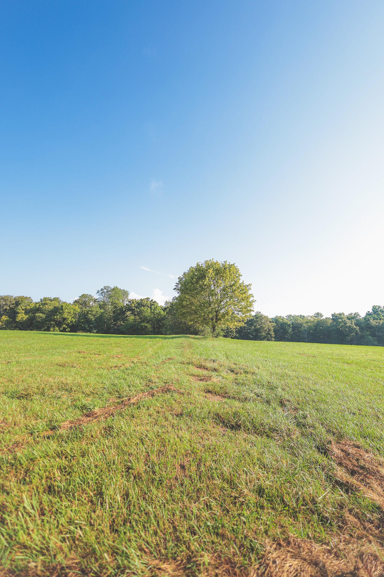 1784 Ogden Road Dayton, TN 37321 - Photo 23 of 62