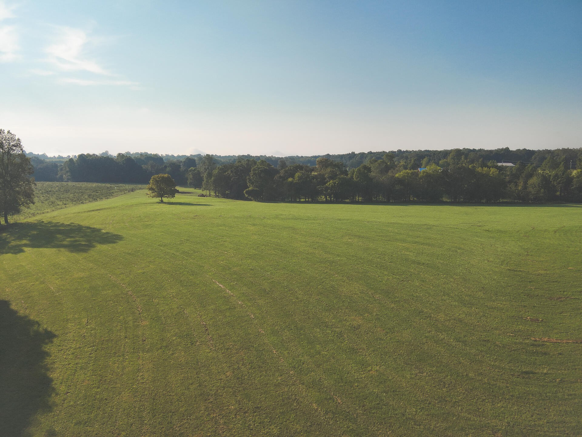 1784 Ogden Road Dayton, TN 37321 - Photo 39 of 62