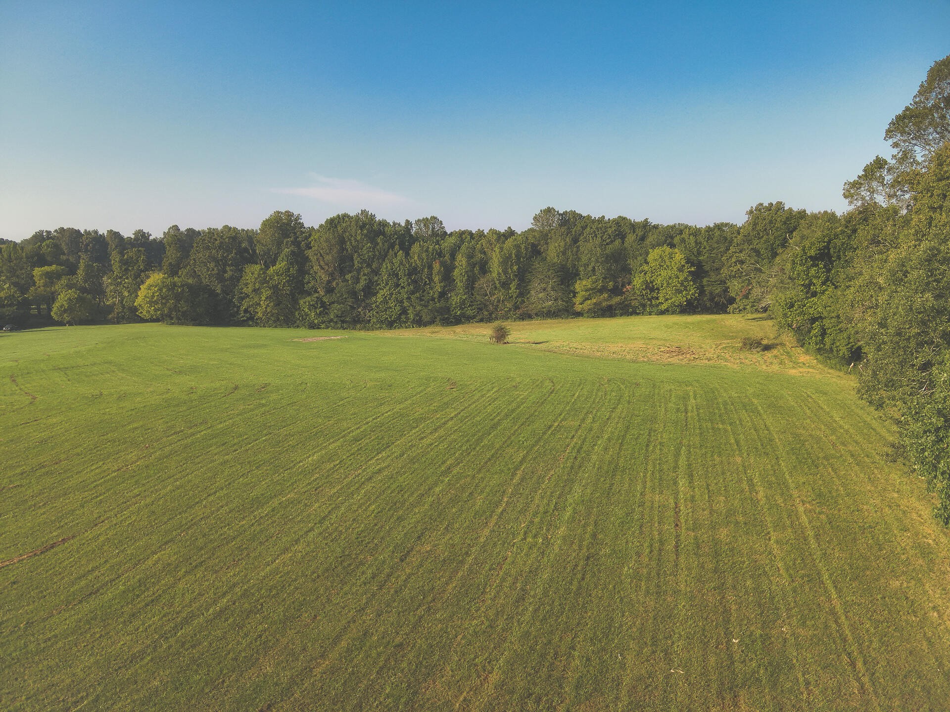 1784 Ogden Road Dayton, TN 37321 - Photo 40 of 62