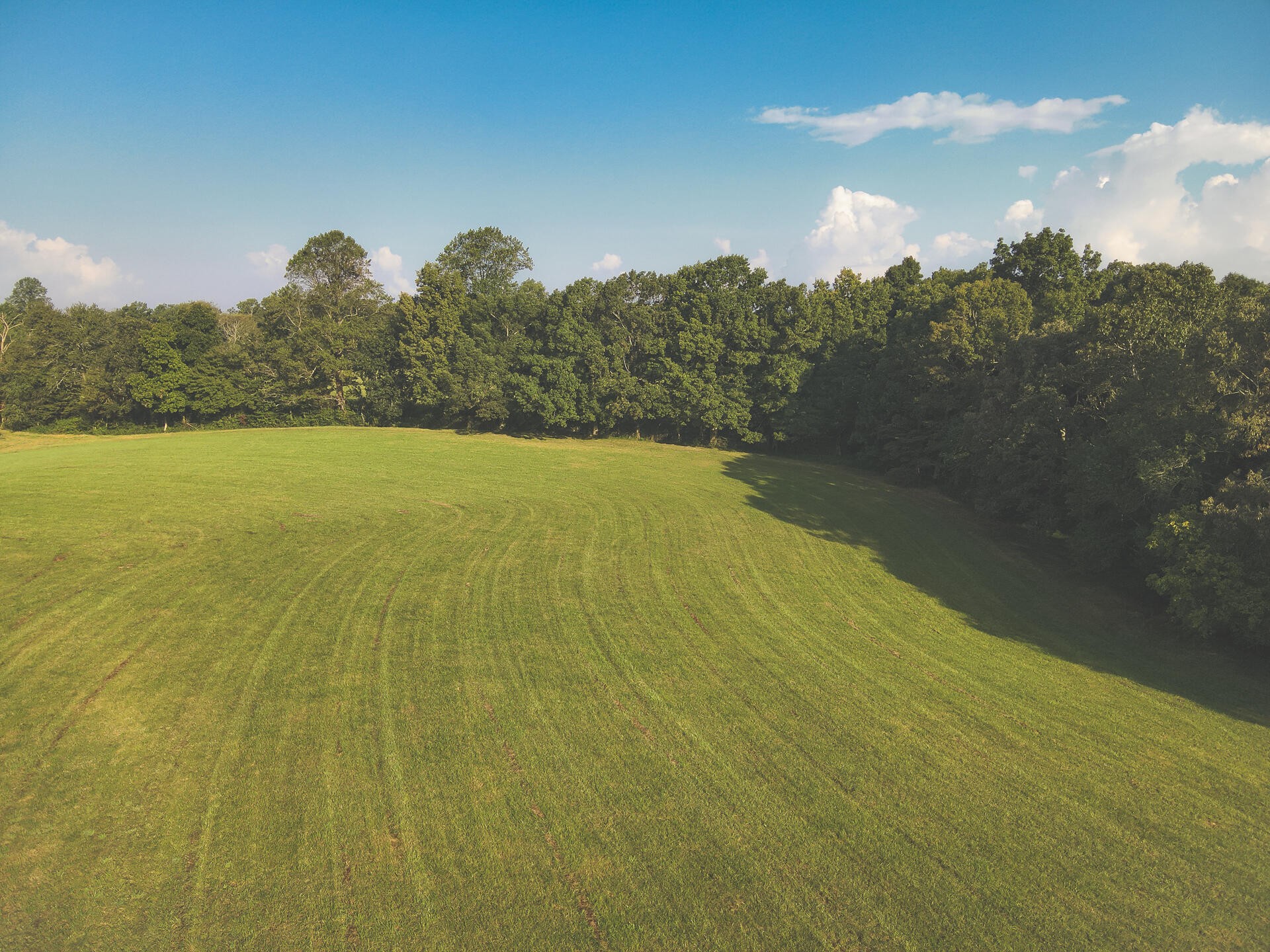 1784 Ogden Road Dayton, TN 37321 - Photo 41 of 62