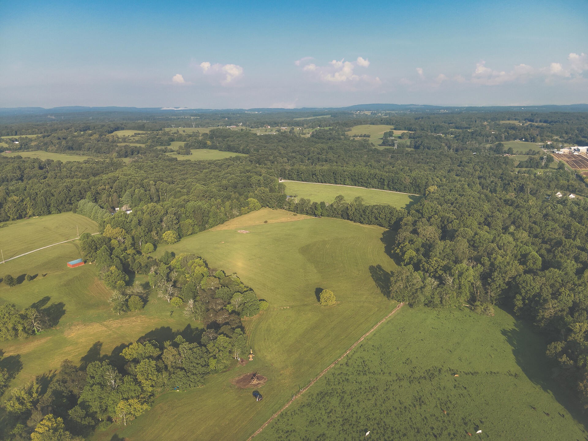 1784 Ogden Road Dayton, TN 37321 - Photo 45 of 62