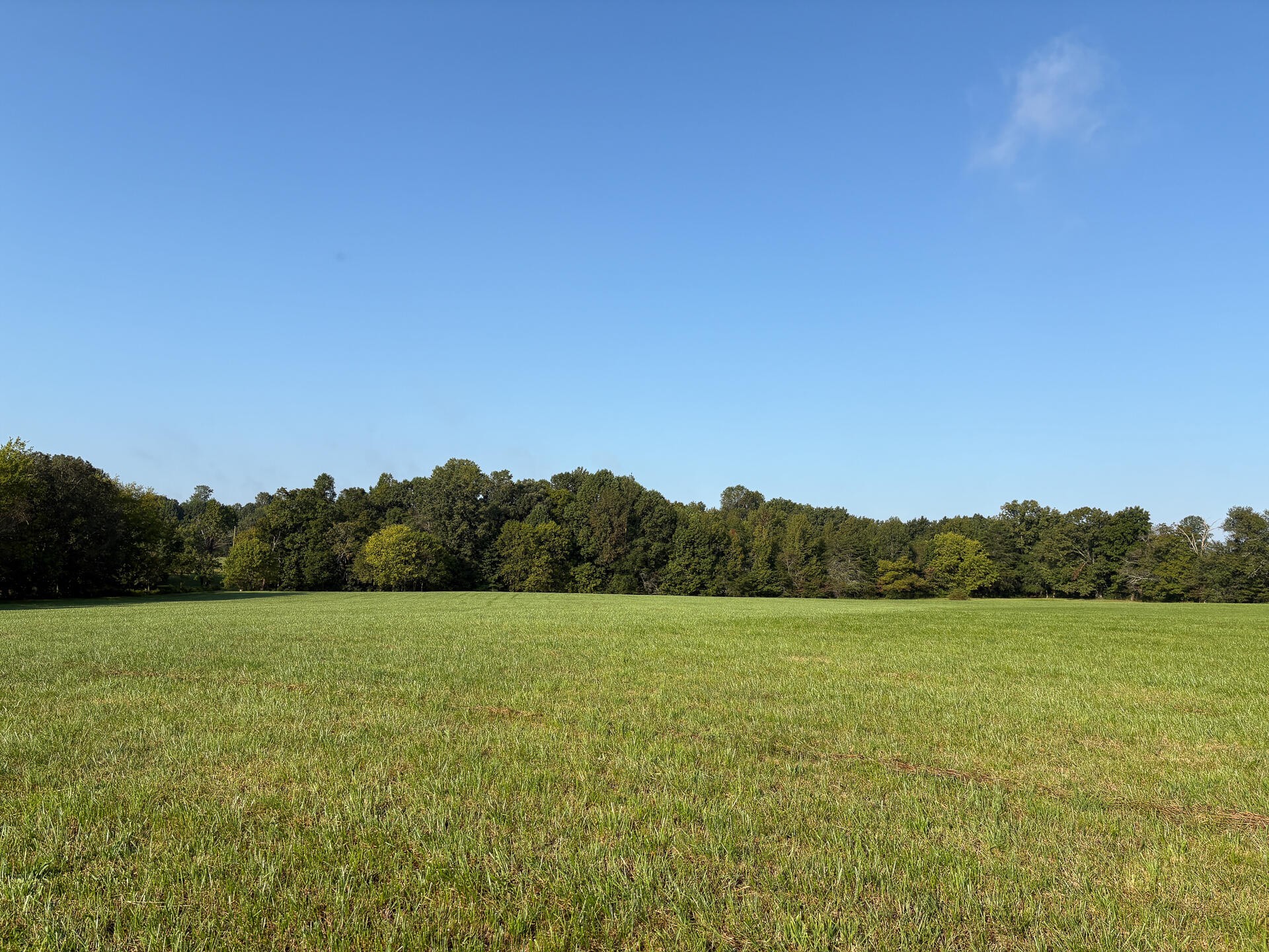 1784 Ogden Road Dayton, TN 37321 - Photo 47 of 62