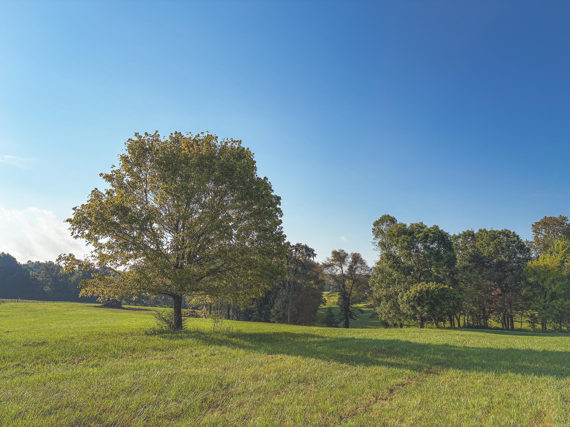 1784 Ogden Road Dayton, TN 37321 - Photo 48 of 62