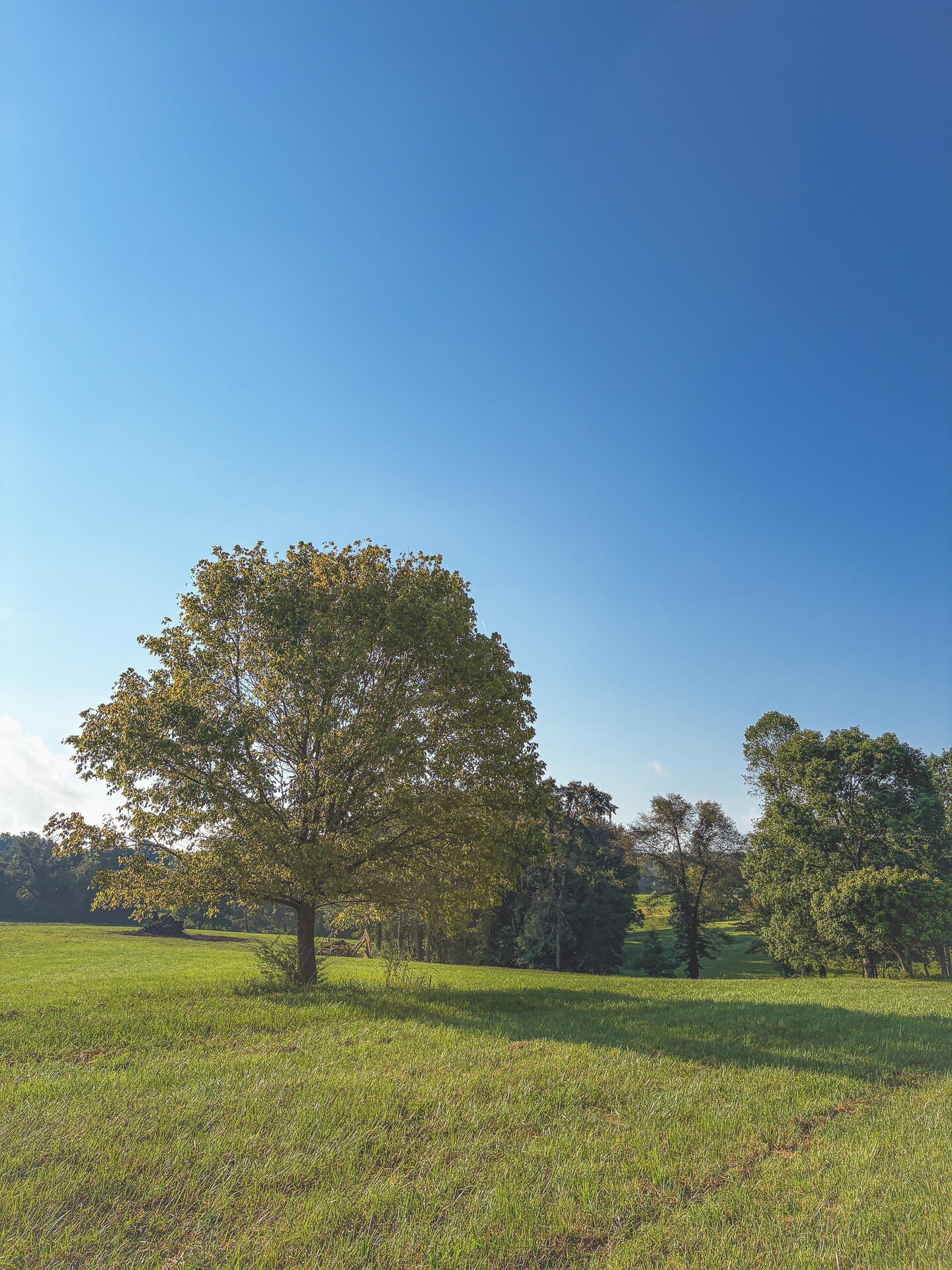 1784 Ogden Road Dayton, TN 37321 - Photo 49 of 62
