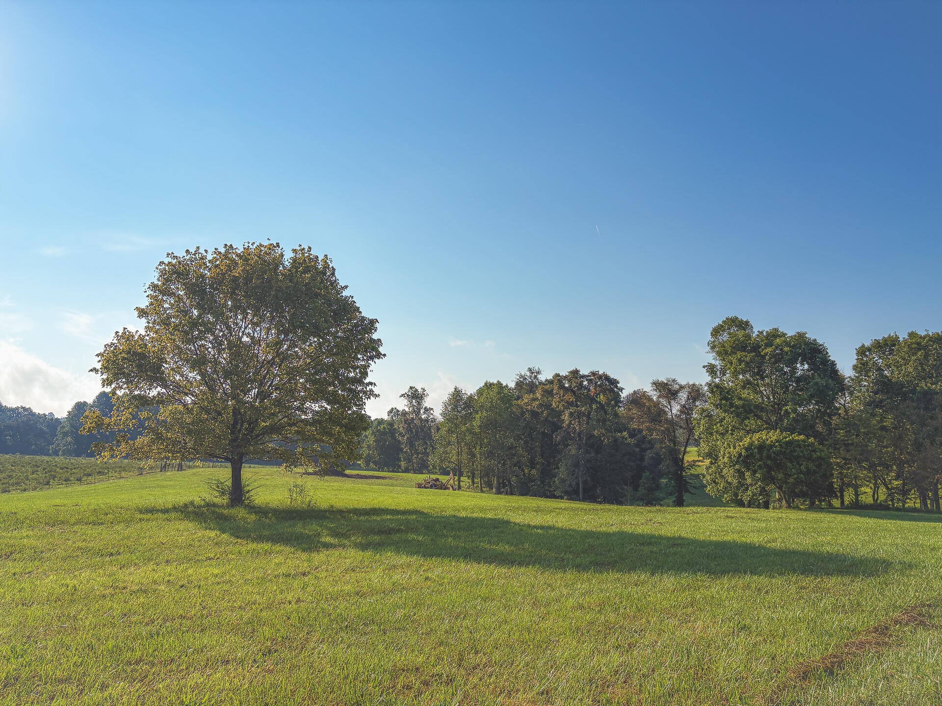 1784 Ogden Road Dayton, TN 37321 - Photo 50 of 62