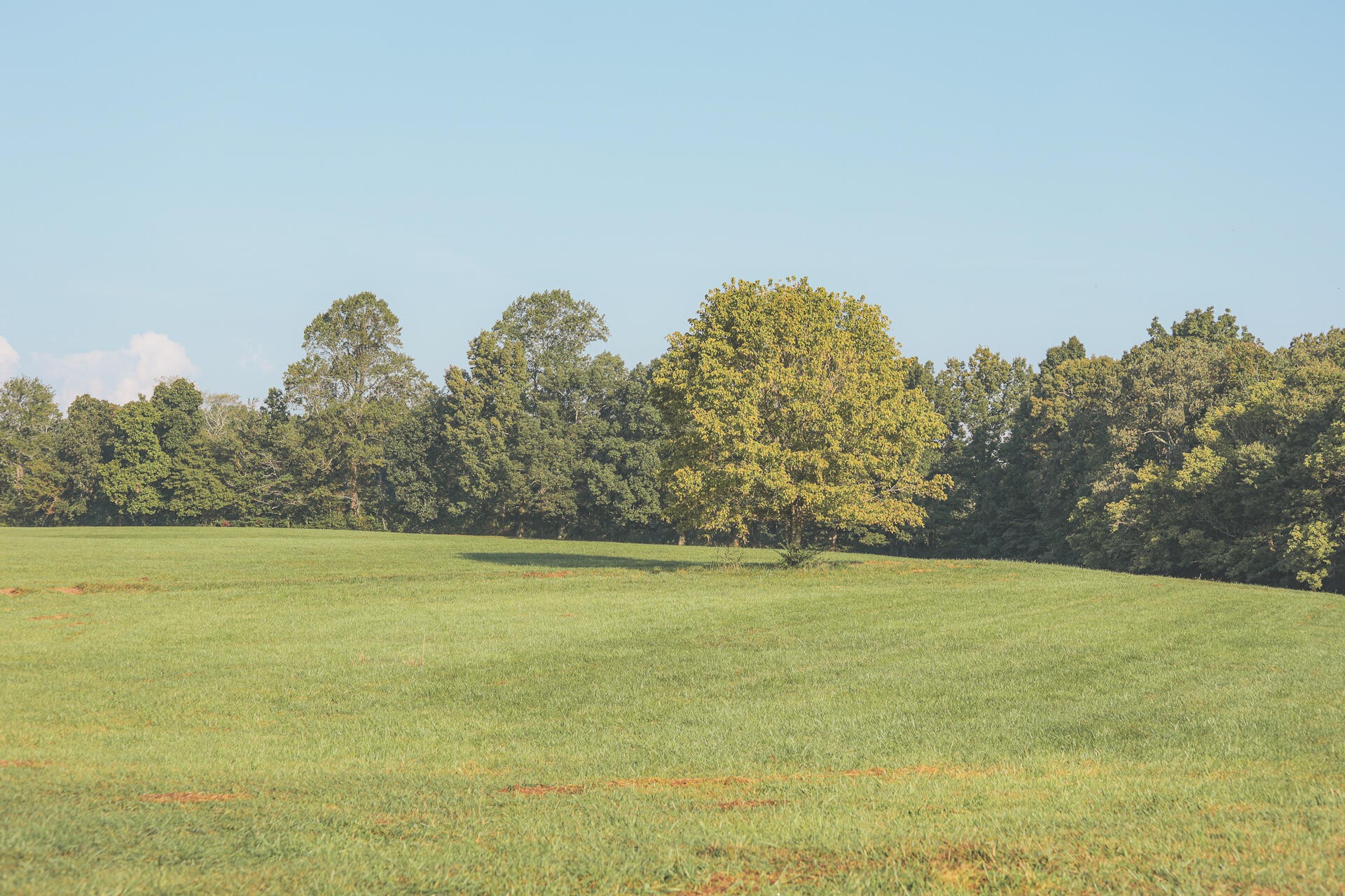 1784 Ogden Road Dayton, TN 37321 - Photo 5 of 62