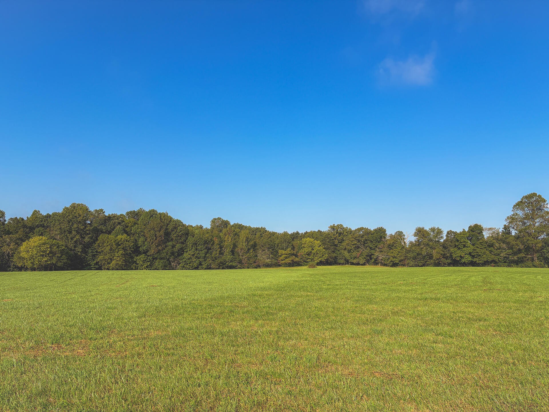1784 Ogden Road Dayton, TN 37321 - Photo 51 of 62