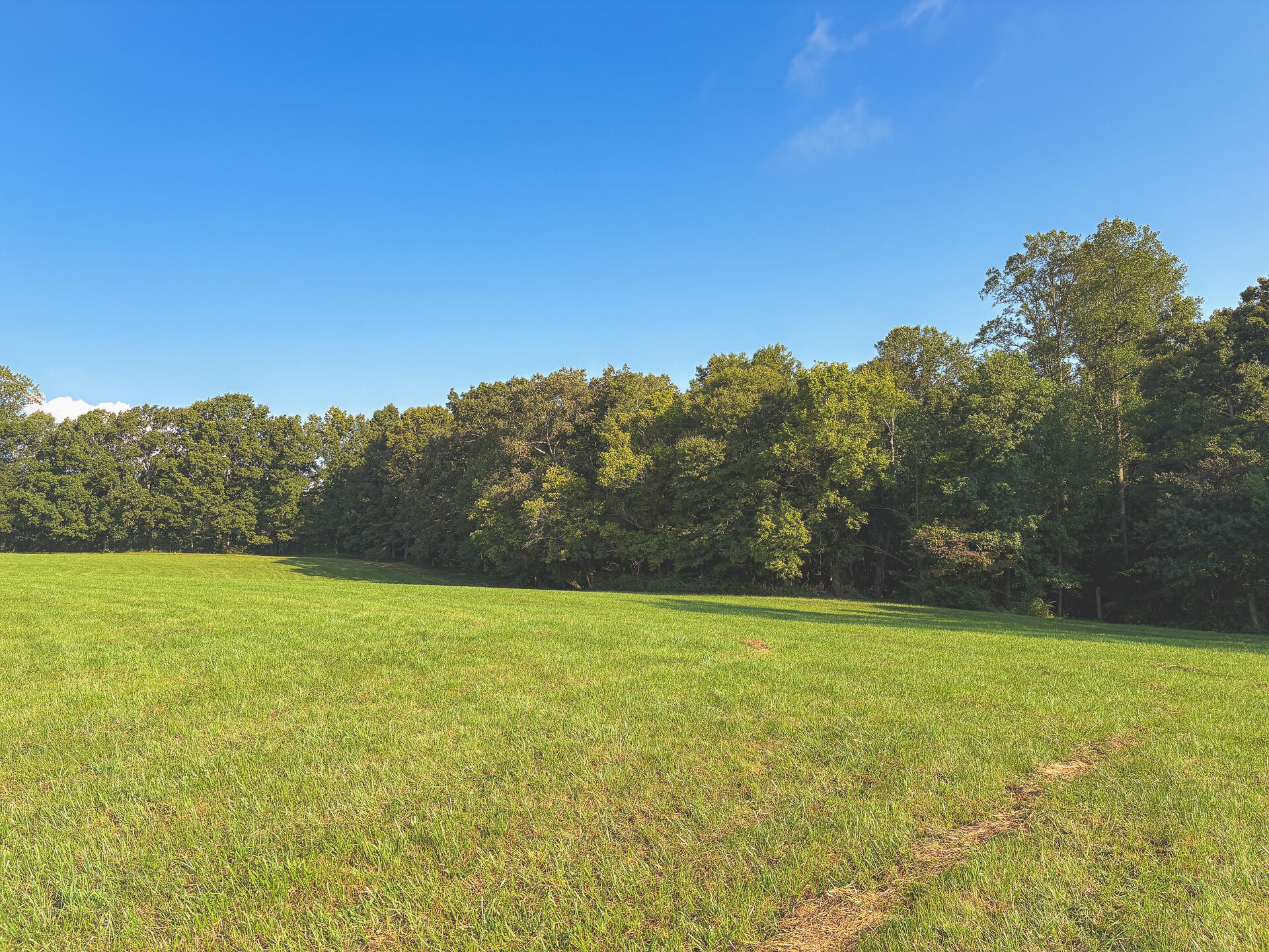 1784 Ogden Road Dayton, TN 37321 - Photo 52 of 62