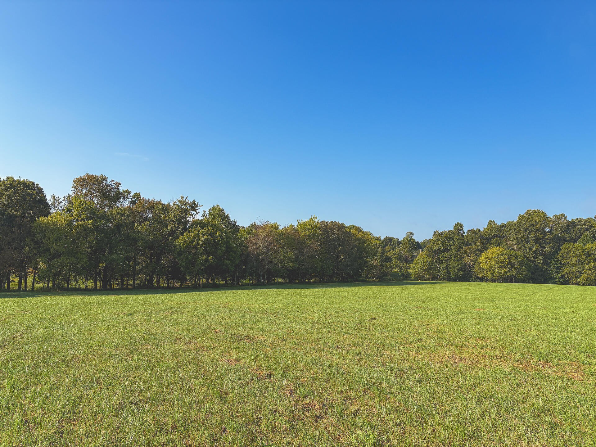 1784 Ogden Road Dayton, TN 37321 - Photo 53 of 62