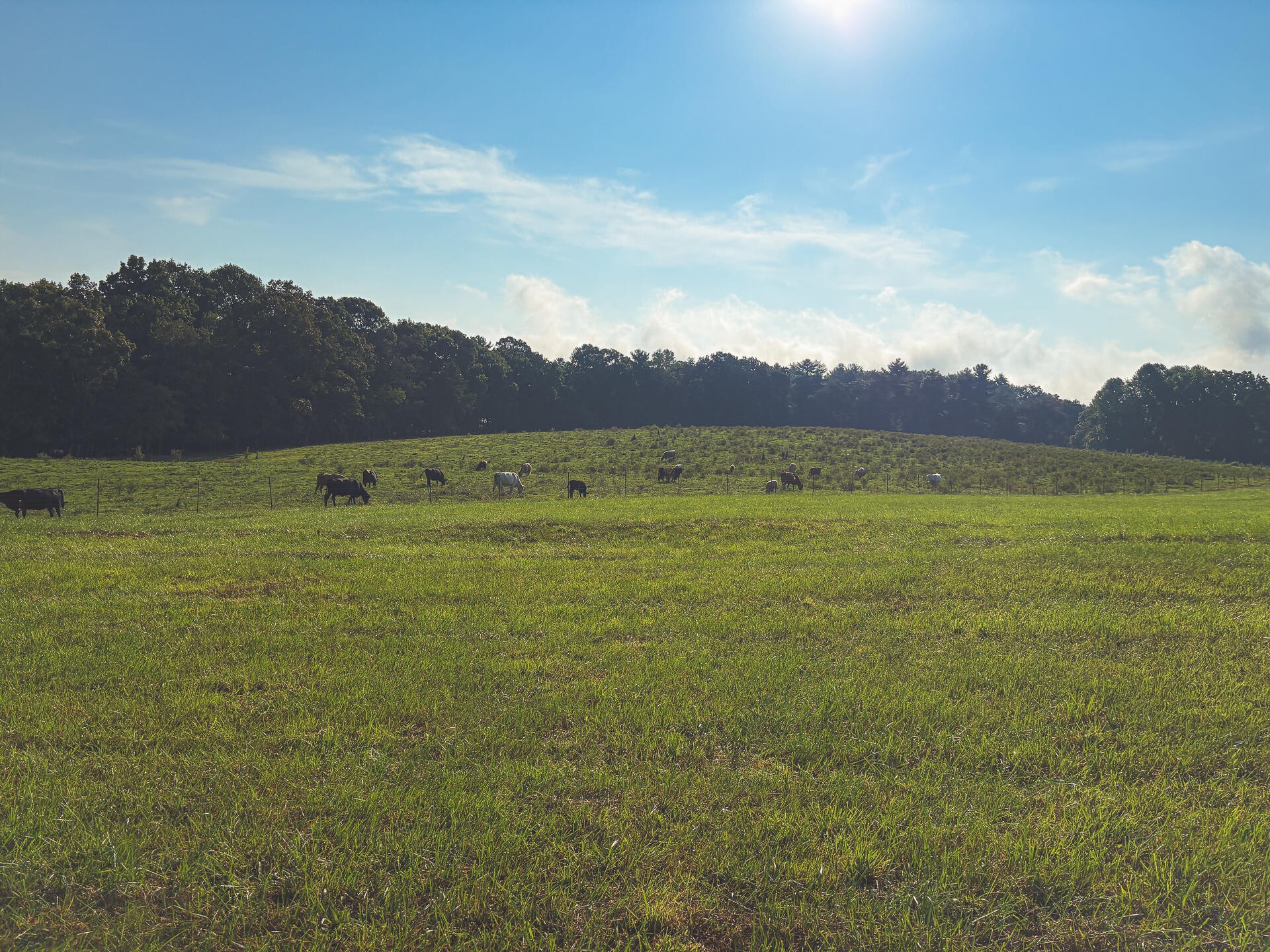 1784 Ogden Road Dayton, TN 37321 - Photo 54 of 62