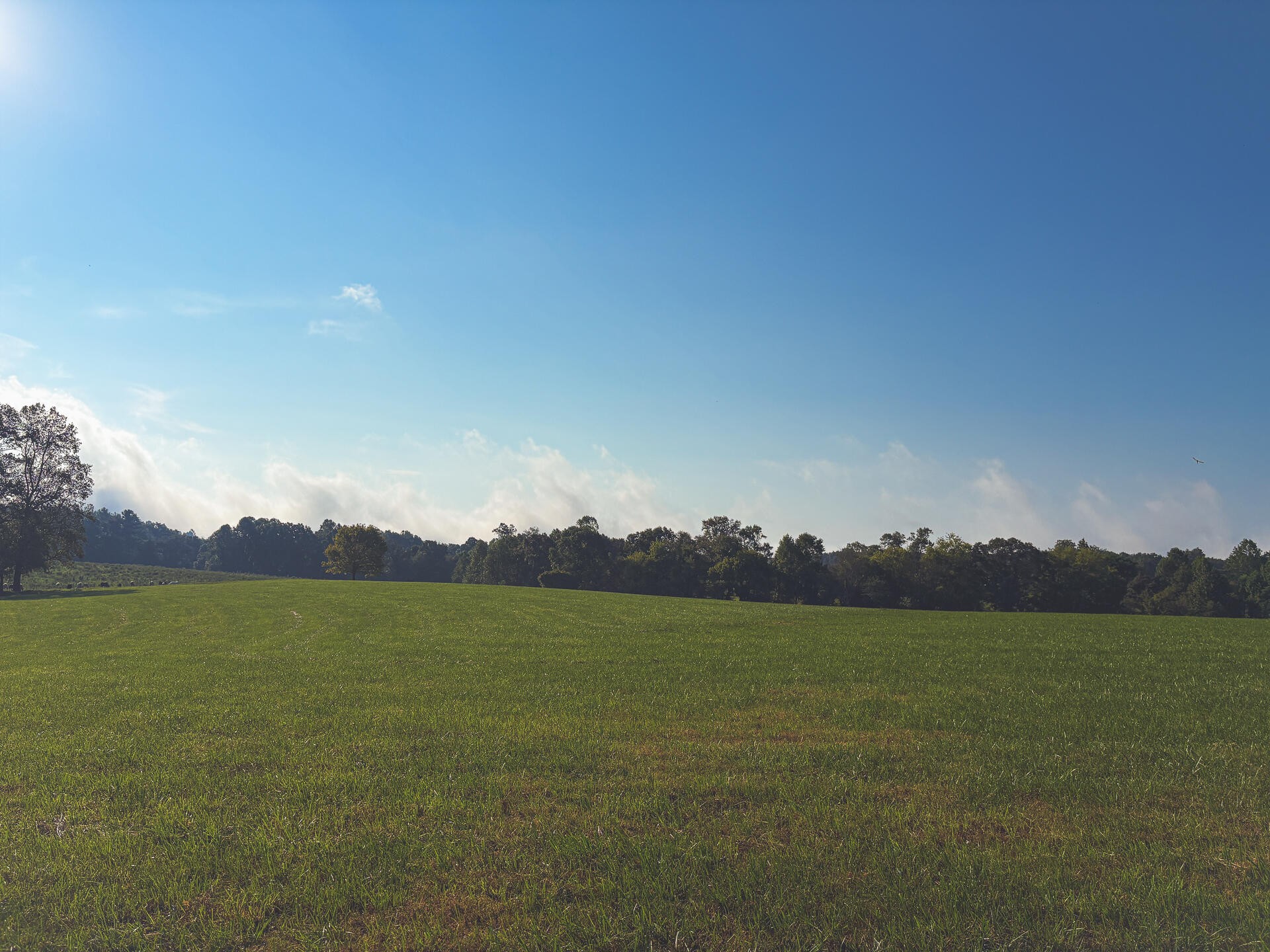 1784 Ogden Road Dayton, TN 37321 - Photo 55 of 62