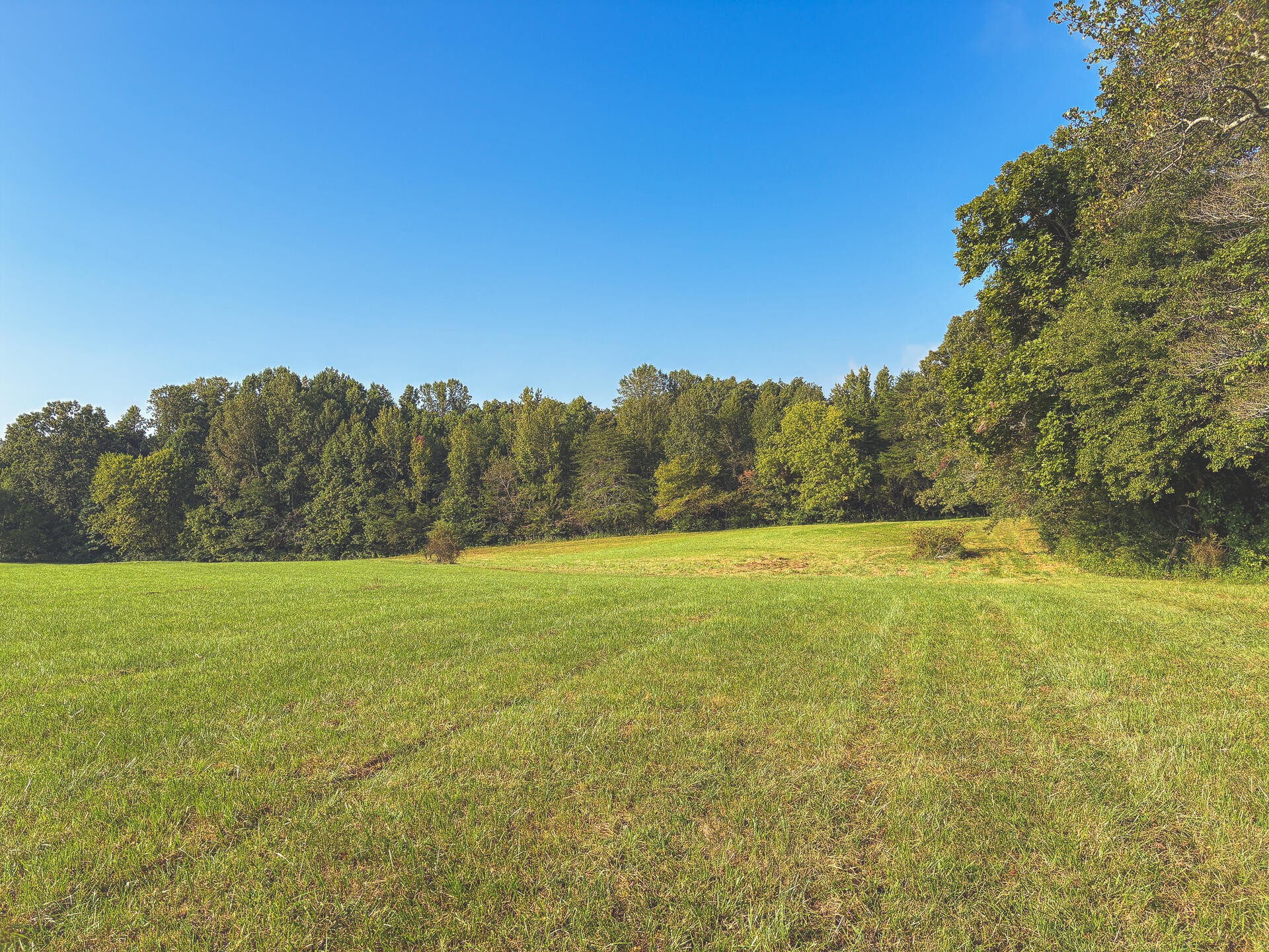 1784 Ogden Road Dayton, TN 37321 - Photo 57 of 62
