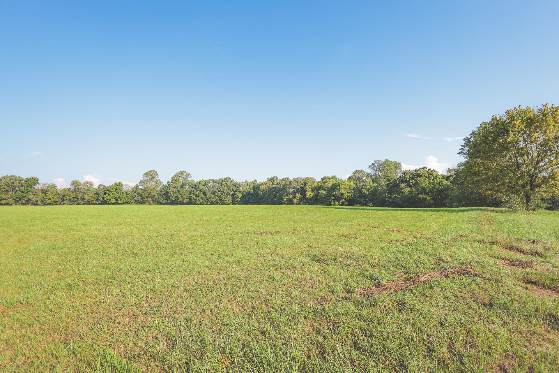 1784 Ogden Road Dayton, TN 37321 - Photo 6 of 62
