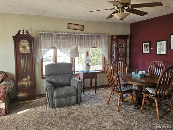 $135,000 | 307 East Jenkins Street, Steeleville, IL 62288