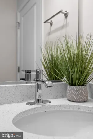 a potted plant sitting on a bathroom sink