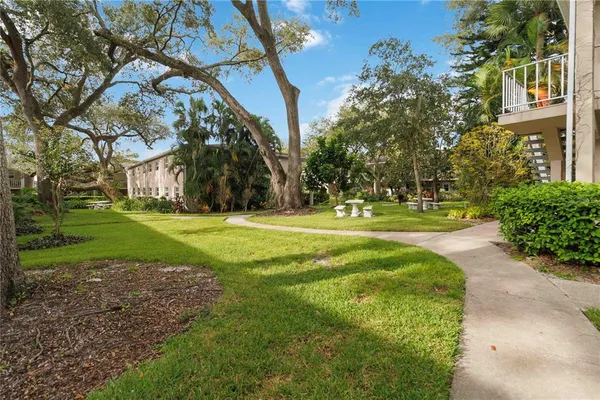 a view of a park with large trees
