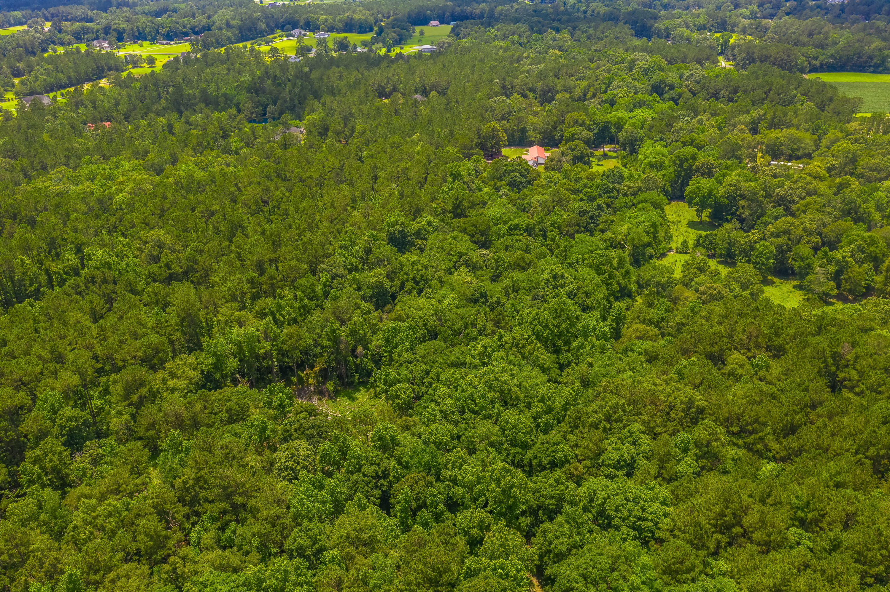1129 Church Of God Road Bonneau, SC 29431 - Photo 6 of 14 1129 Church of God
