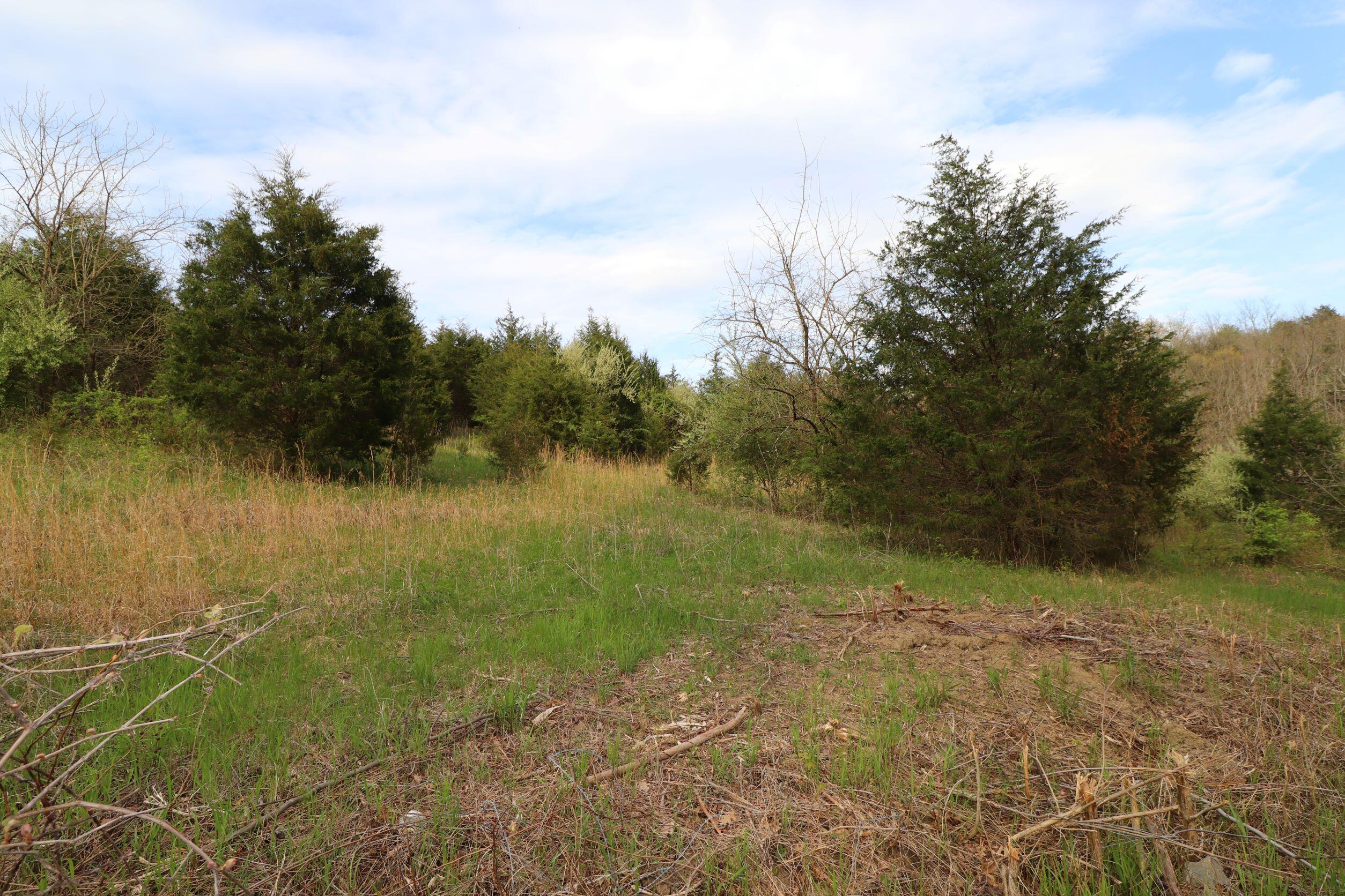 3541 Moffett Road Morning View, KY 41063 - Photo 44 of 50