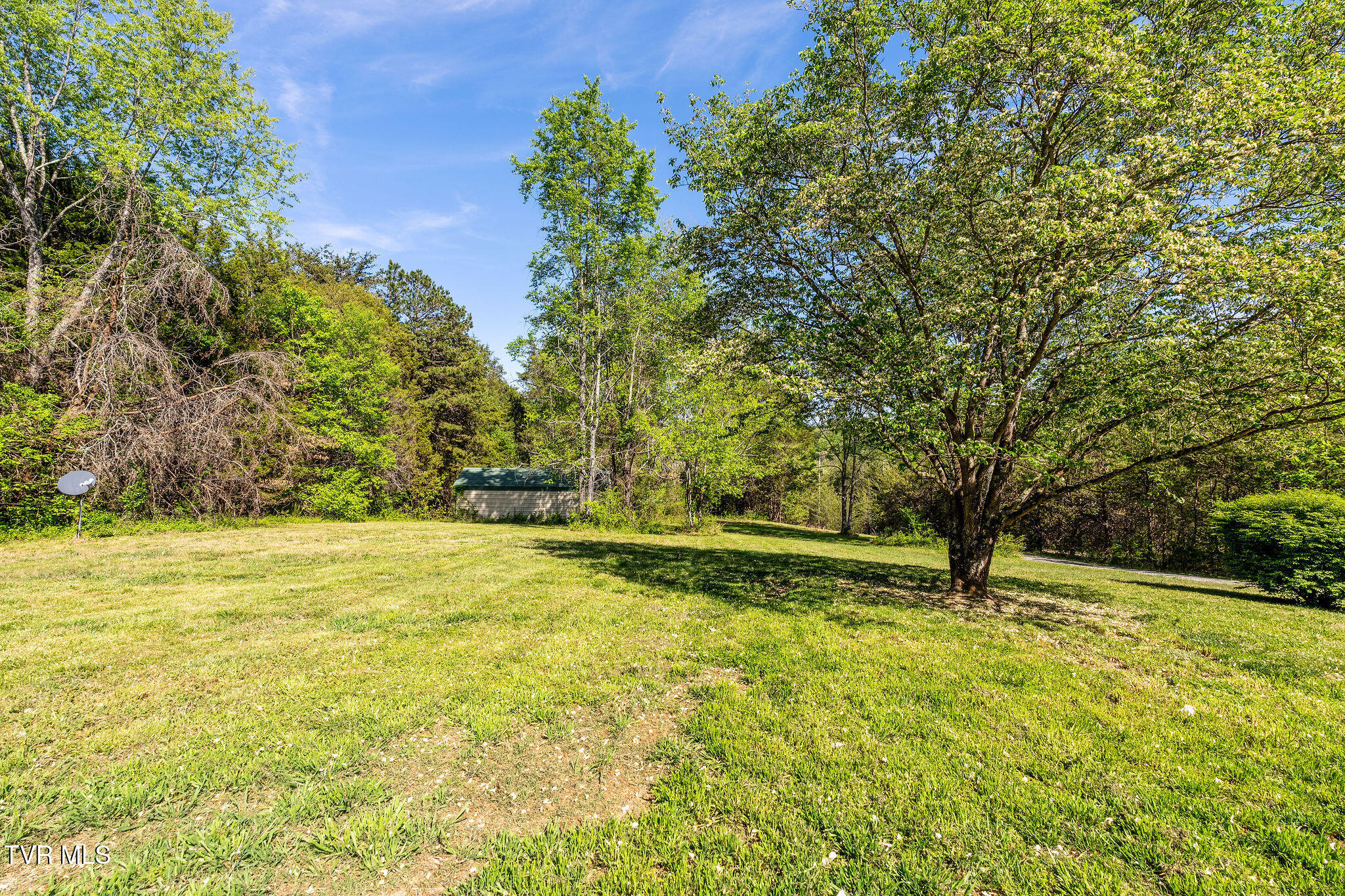 110 Keller Road Afton, TN 37616 - Photo 49 of 68 DSC04555