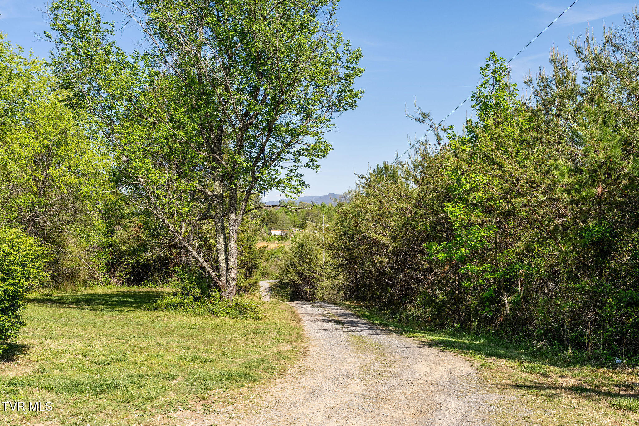 110 Keller Road Afton, TN 37616 - Photo 50 of 68 DSC04557