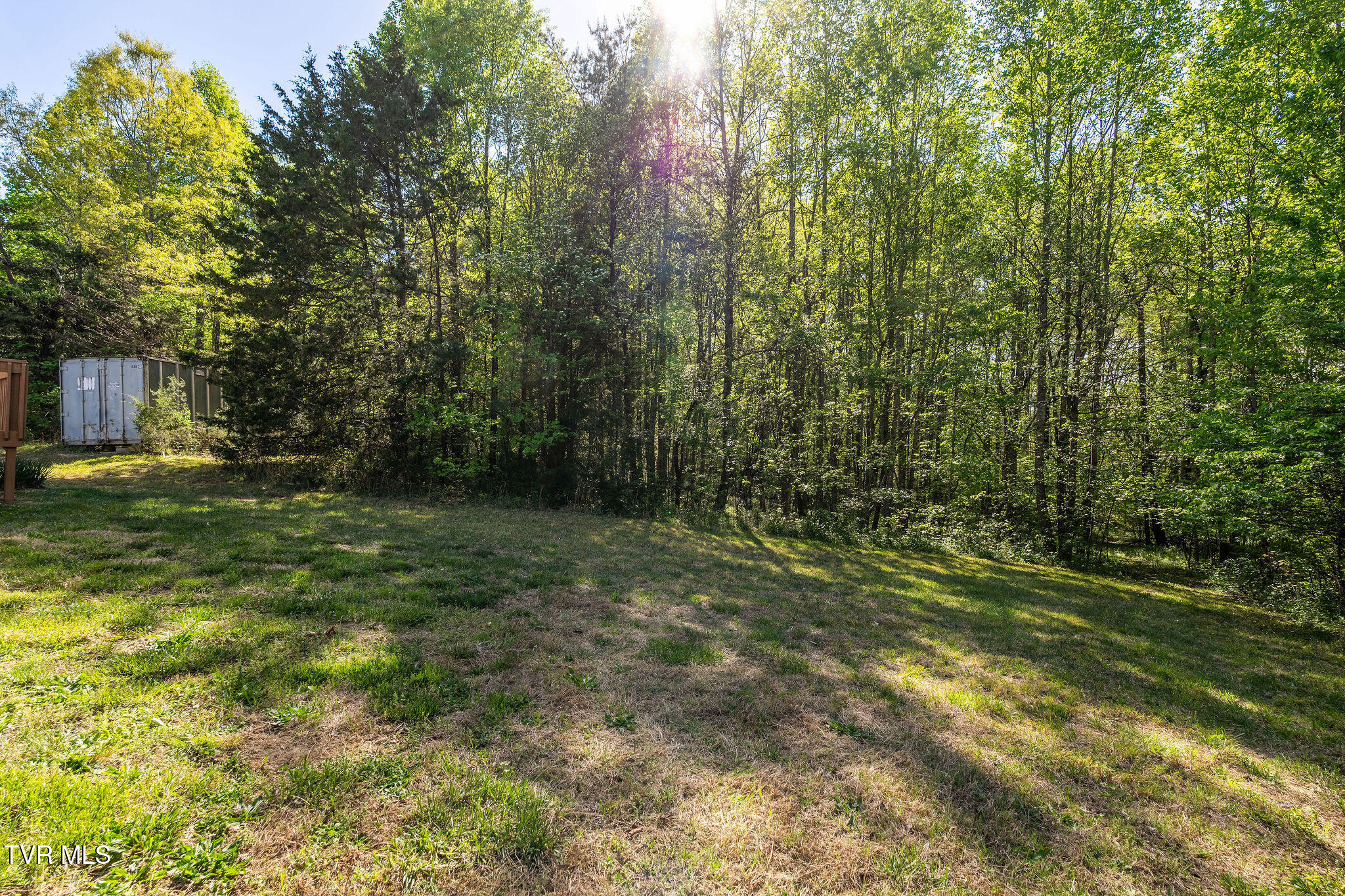110 Keller Road Afton, TN 37616 - Photo 51 of 68 DSC04563
