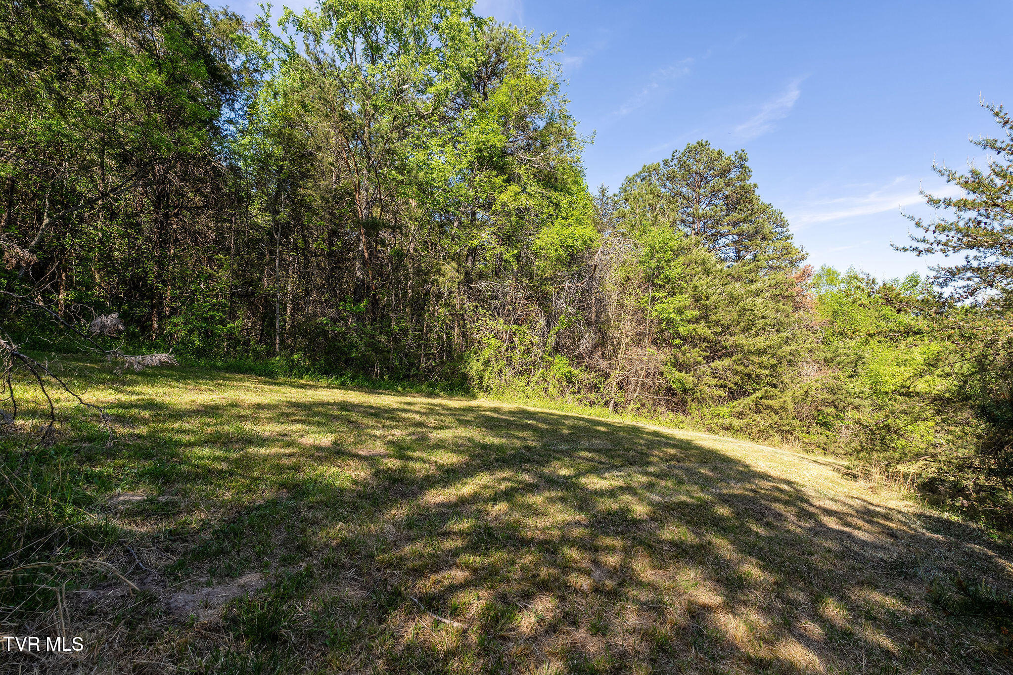 110 Keller Road Afton, TN 37616 - Photo 59 of 68 DSC04580