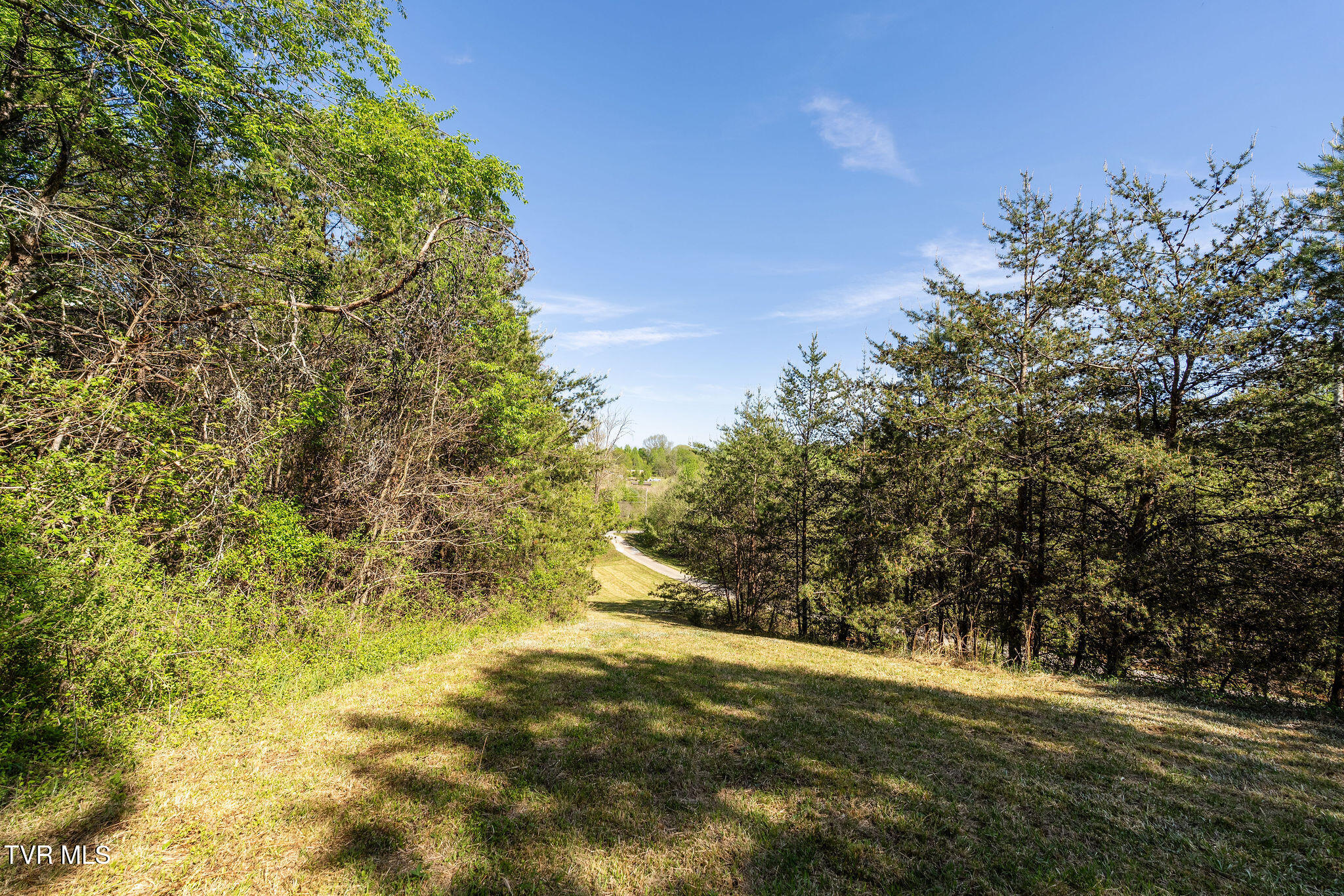 110 Keller Road Afton, TN 37616 - Photo 60 of 68 DSC04581
