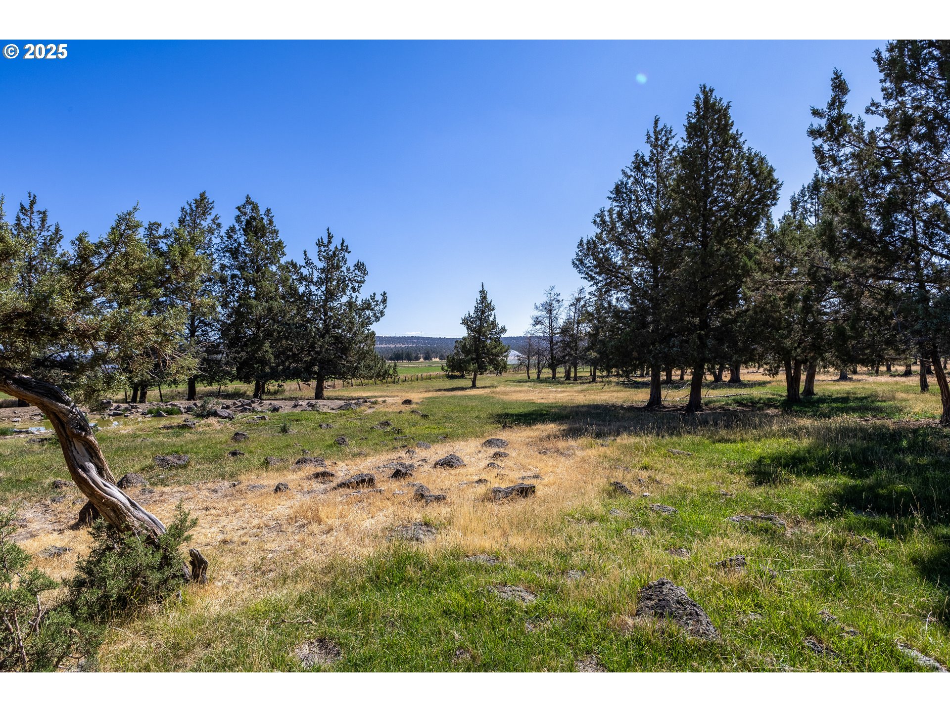Southwest Parrish Lane Powell Butte, OR 97753 - Photo 5 of 8 Gallery Image 5