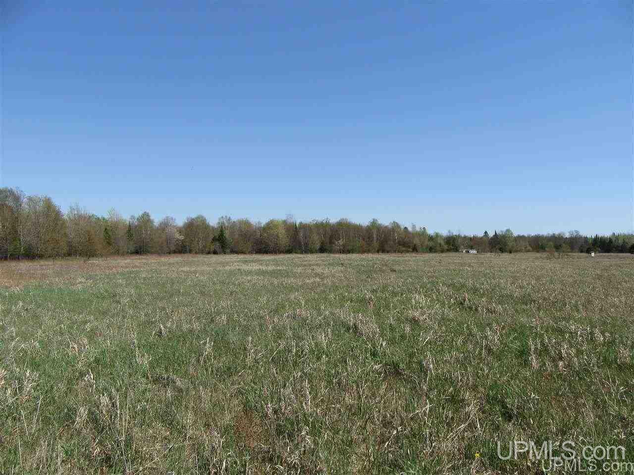 Tbd Kendall Road Manistique, MI 49854 - Photo 6 of 9