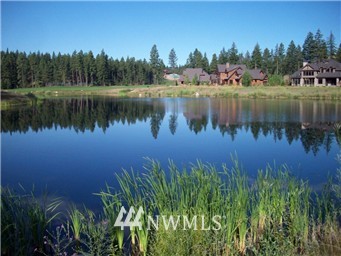 141 Powder Cap Court Cle Elum, WA 98922 - Photo 1 of 1 Gallery Image 1
